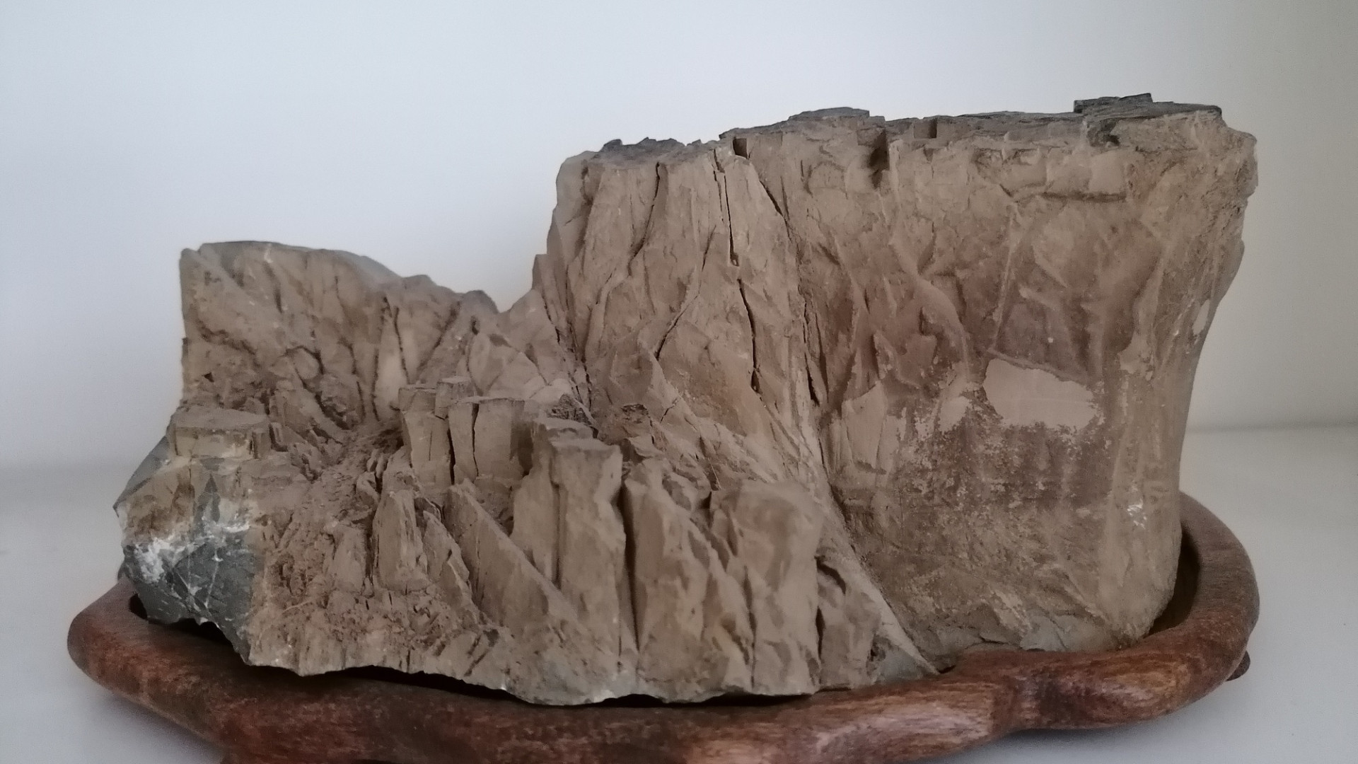 Una delle suiseki della collezione donata da Licio Tezza