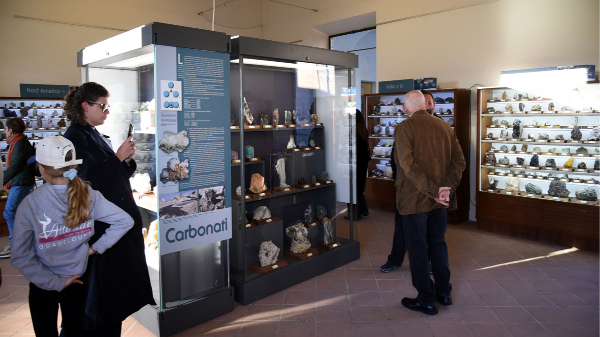 Il Piccolo Museo Storia Naturale a Palazzo Farnese