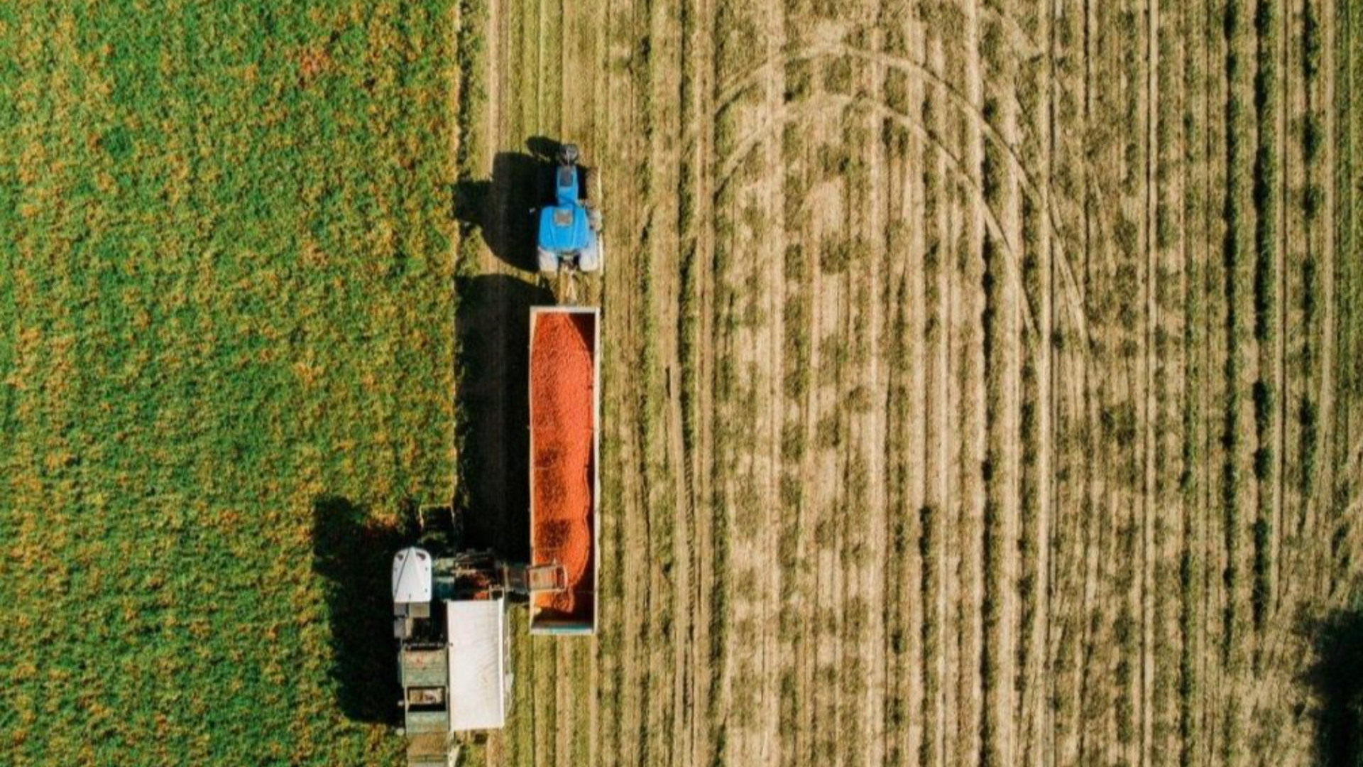 Agricoltura, anche Piacenza a Milano contro i rischi del Mercosur