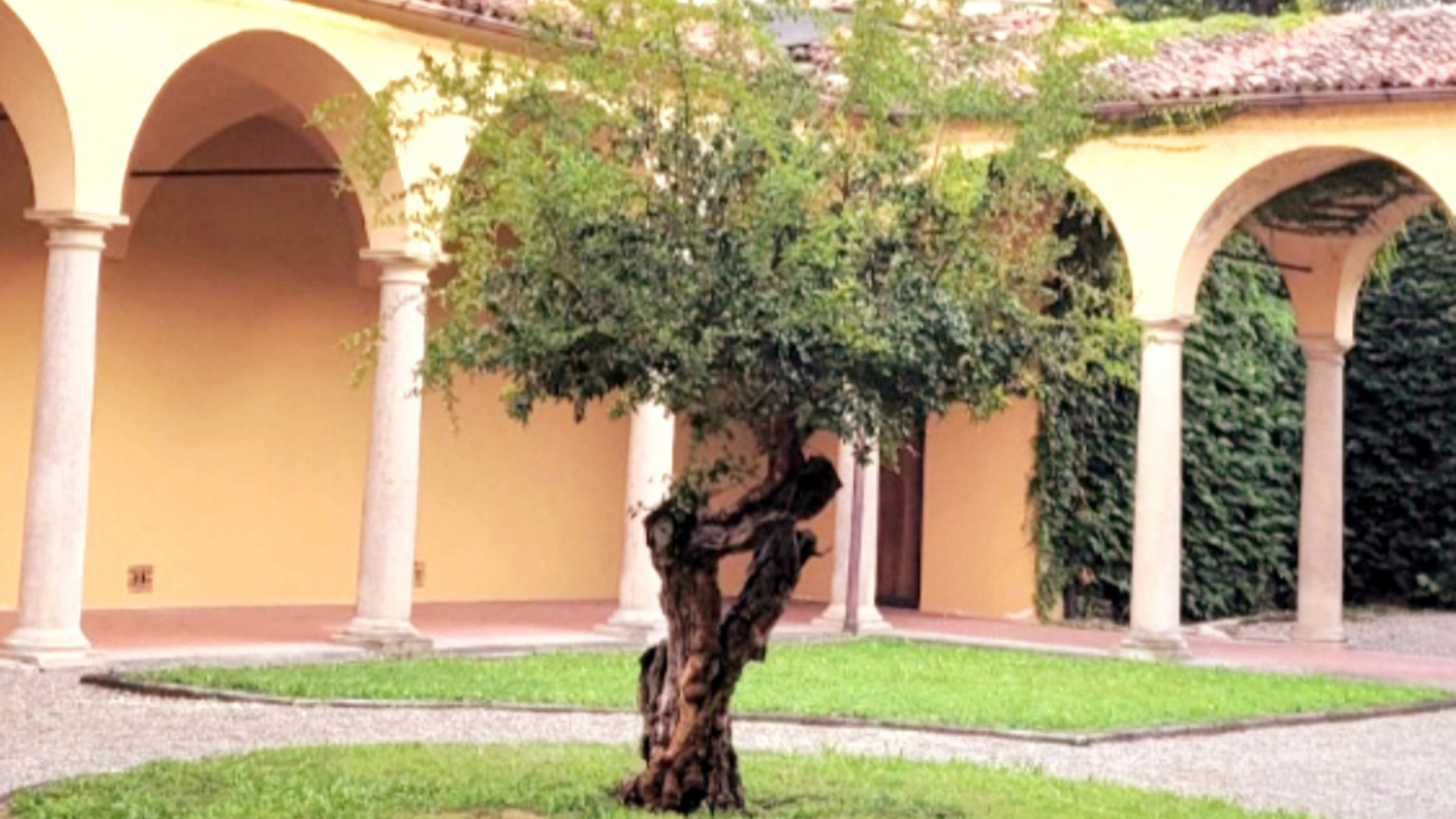 Melograno (Galleria Ricci Oddi)- © Libertà/Dea De Angelis