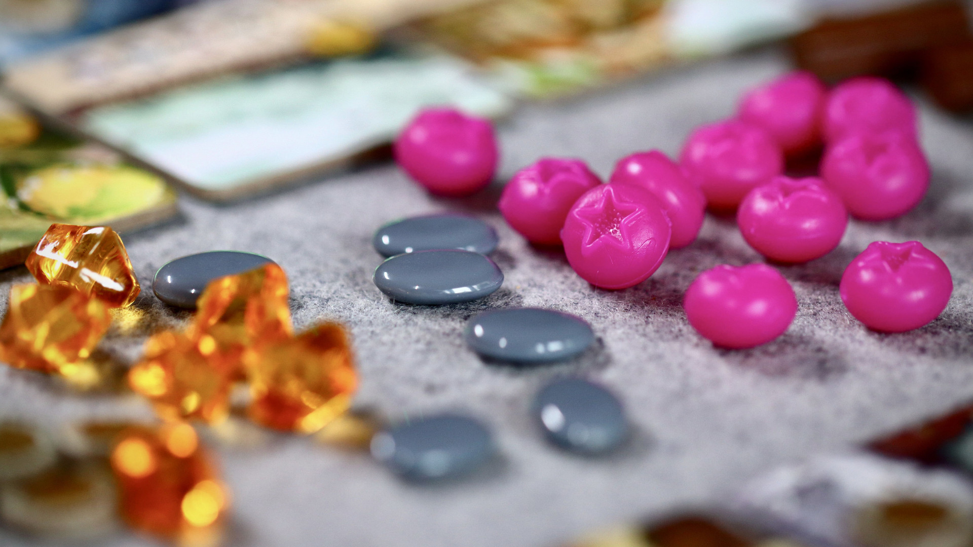 Le bacche rosa, indispensabili per giocare le carte personaggio- © Libertà/Carlo Chericoni