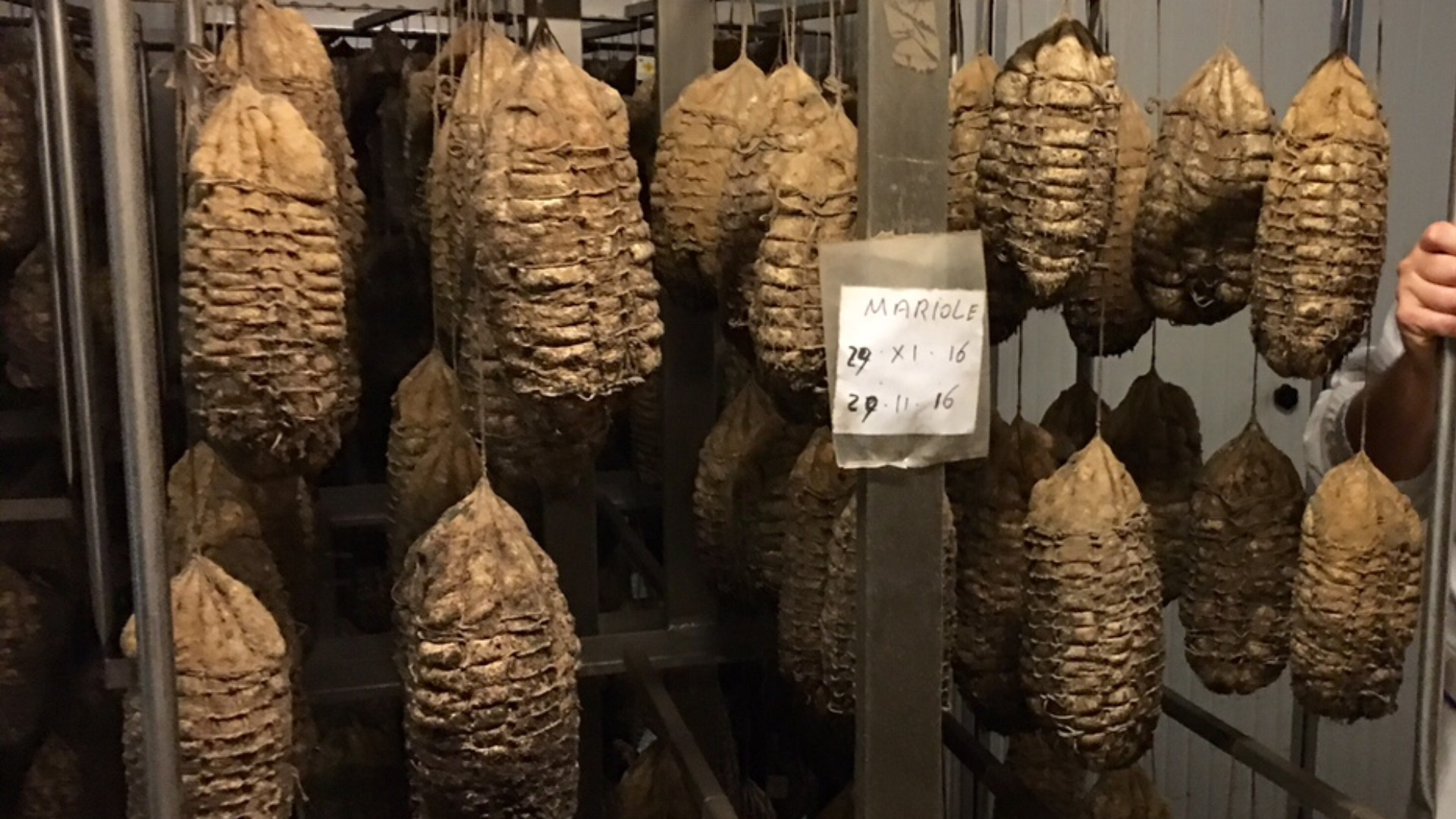 Imprese storiche, con Salini Piacenza è a quota sei