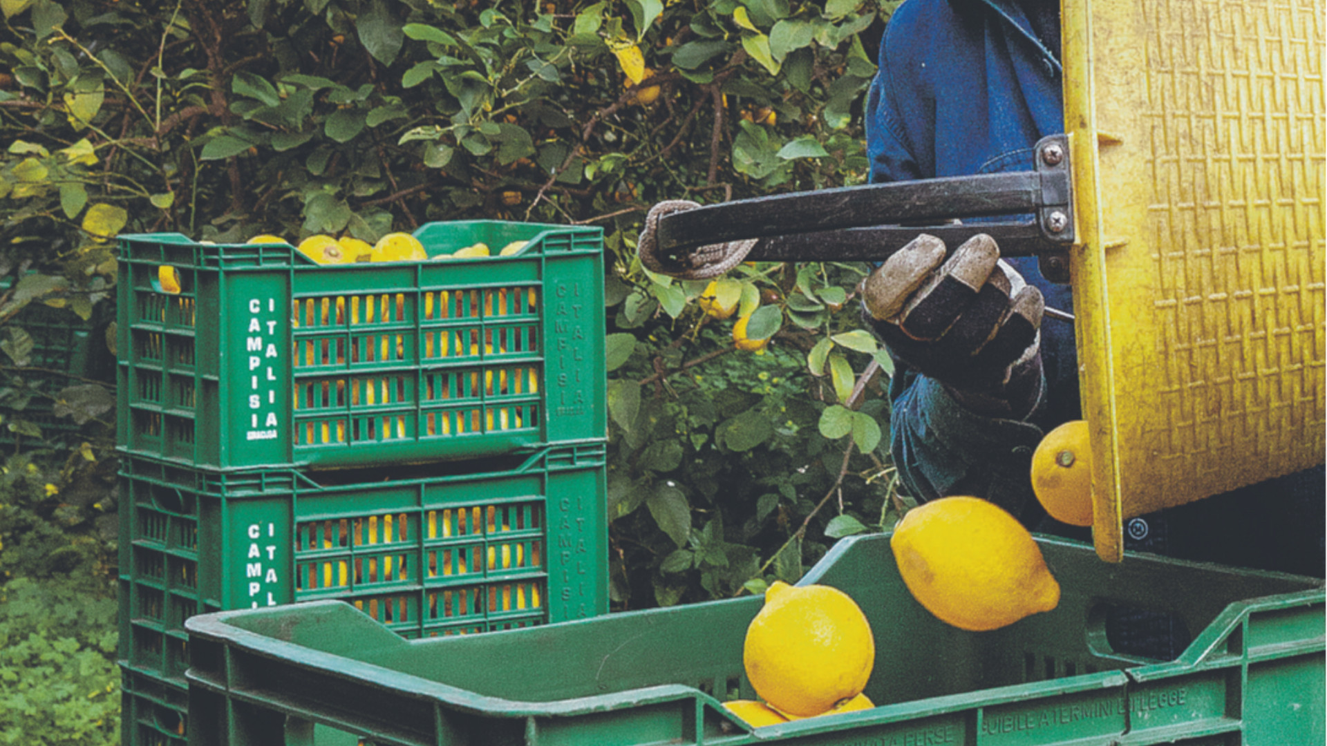 Polenghi rafforza la presa sul gruppo di famiglia