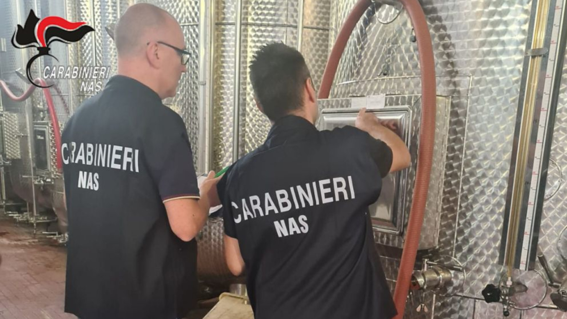 Controlli Nas durante le feste, sequestrate oltre mille bottiglie di gutturnio