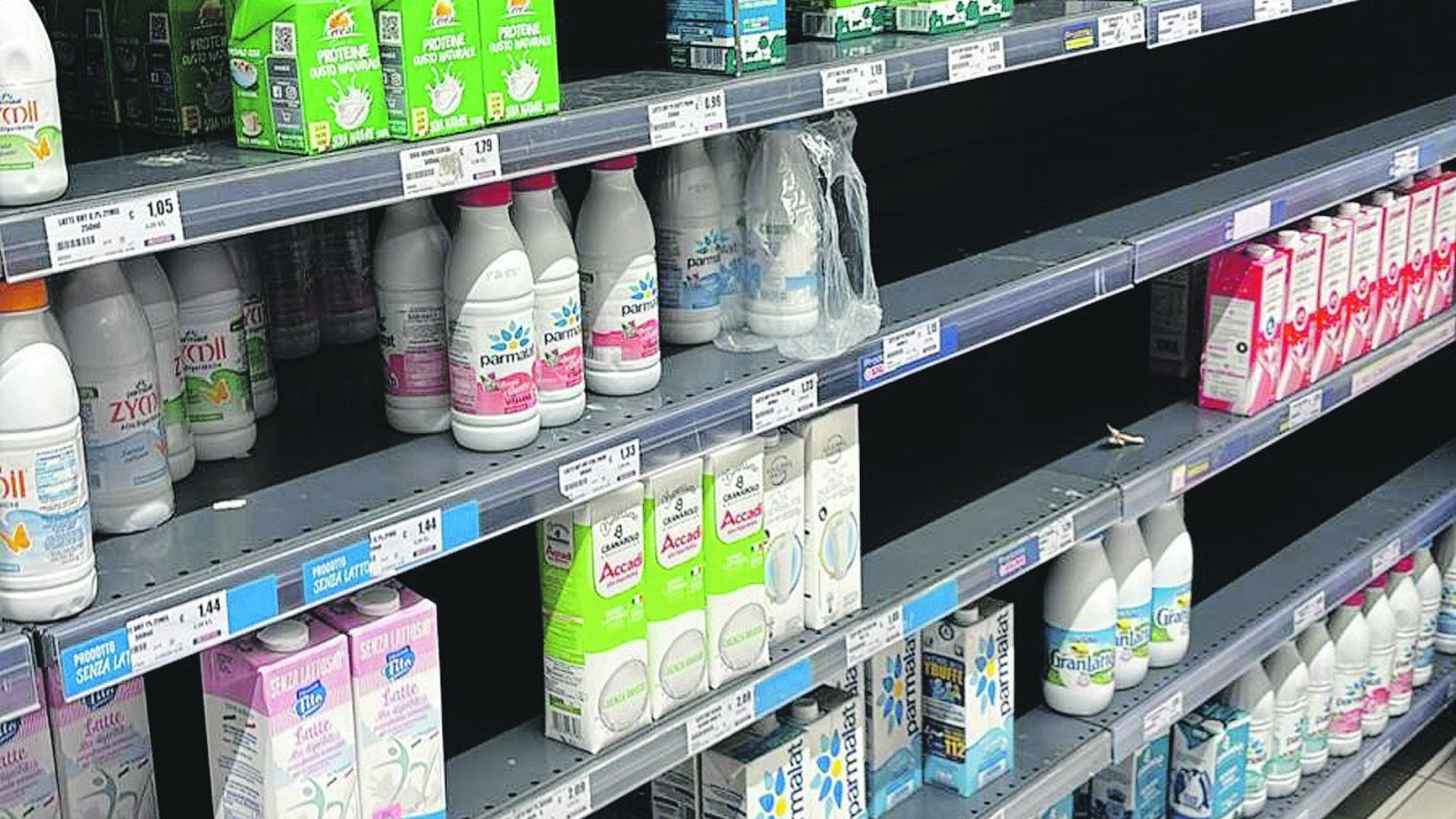 Scaffali più vuoti, timori per i "Sigma". «Licenze in cessione»