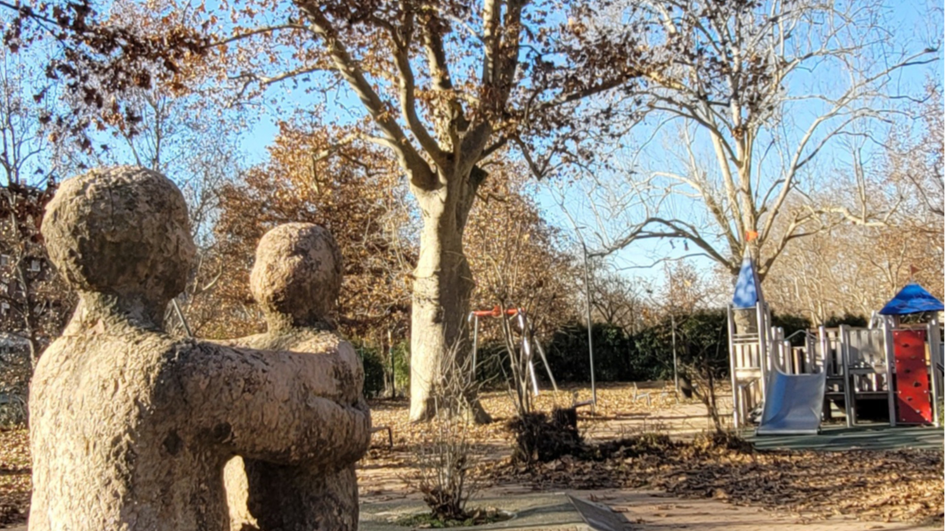 Platano ornamentale e platano (banano) pane dei Caraibi