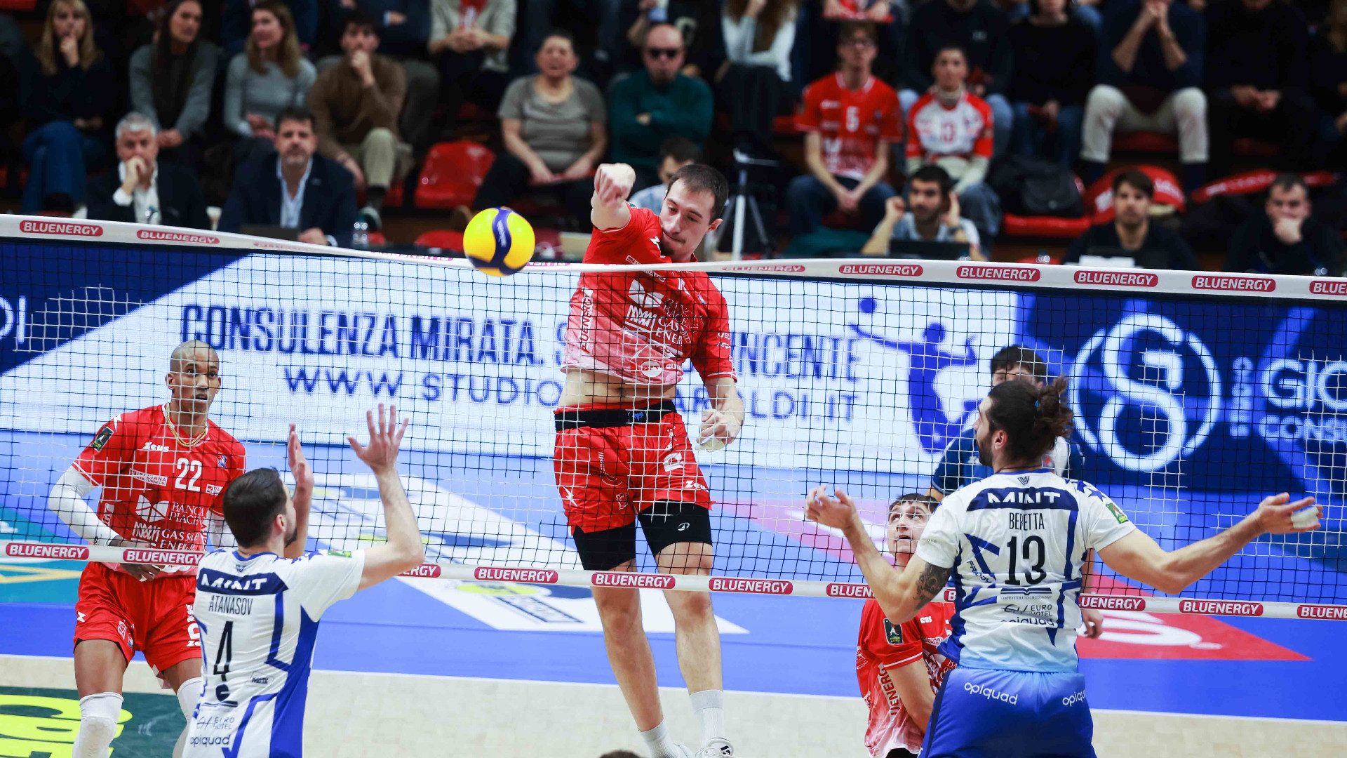 GAS SALES - MONZA ( FOTO CAVALLI ) COMPARONI