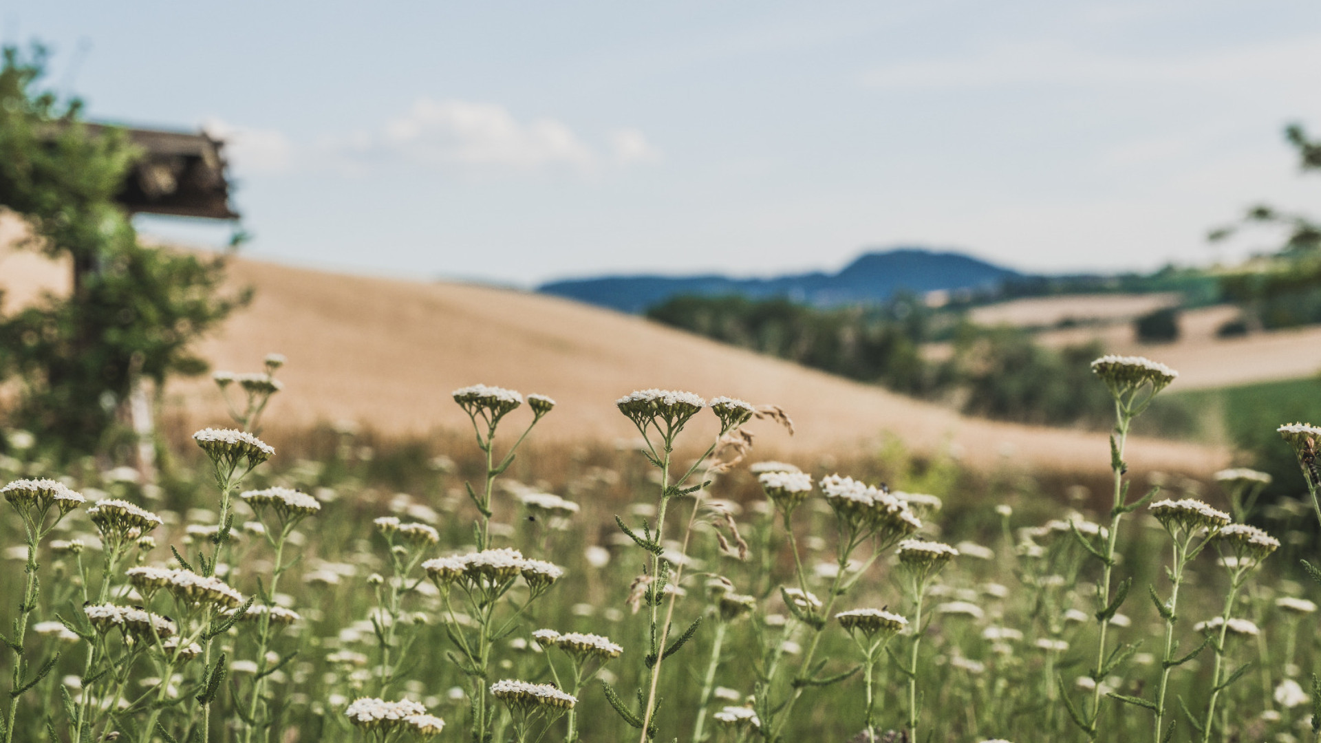 Uno scorcio di Val Luretta ©Foto di Riccardo Compagnoni
