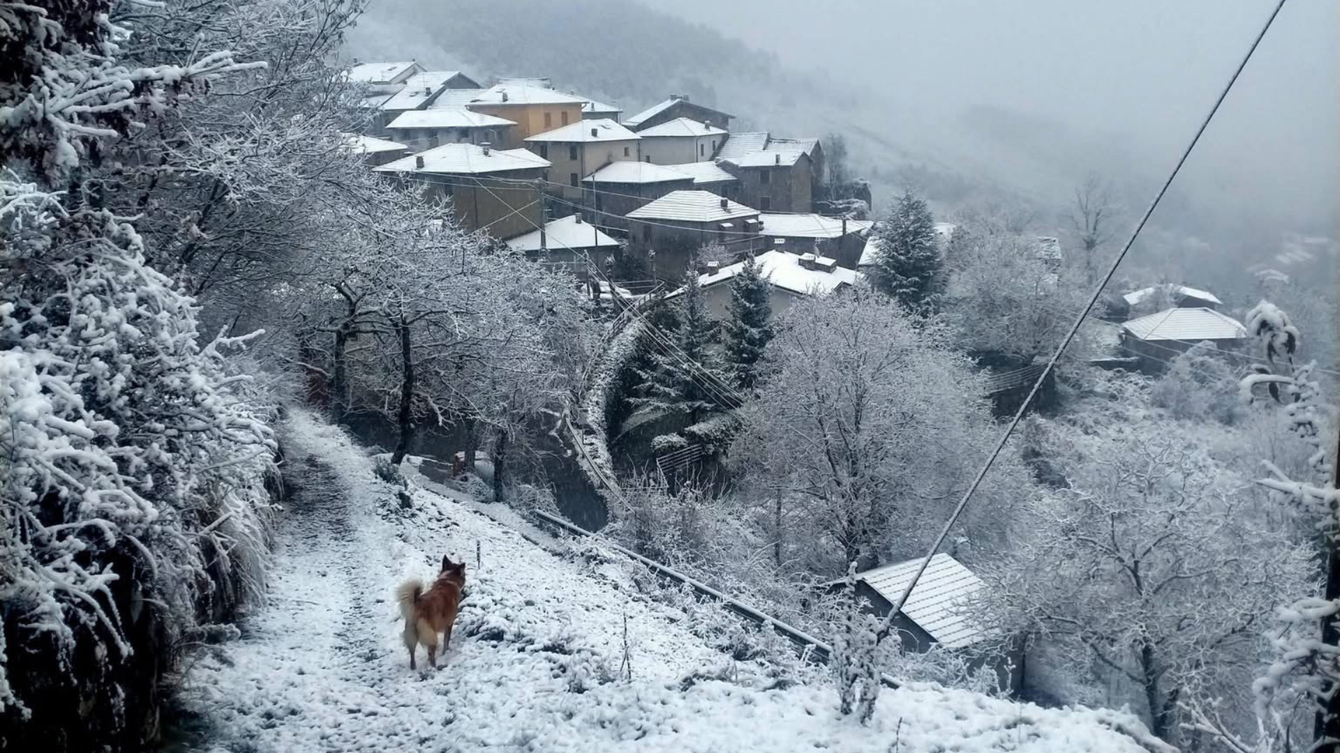 Torna la neve nel Piacentino, allerta meteo su colline e montagne