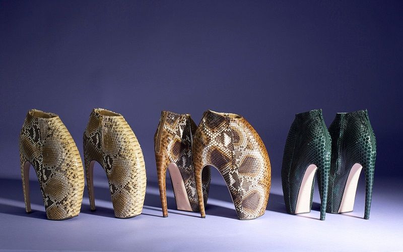 Le celebri Armadillo Shoes