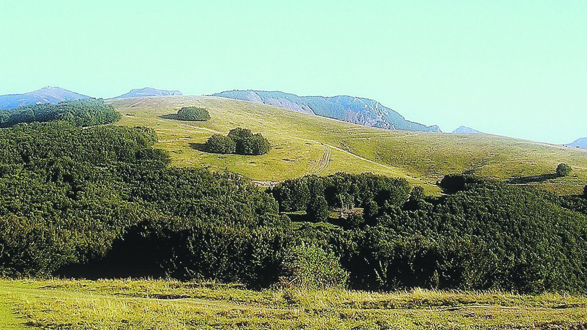 l monte Crociglia nella cui zona è stata richiesta la realizzazione del parco eolico