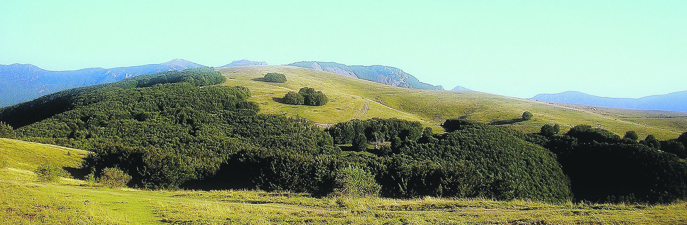 l monte Crociglia nella cui zona è stata richiesta la realizzazione del parco eolico
