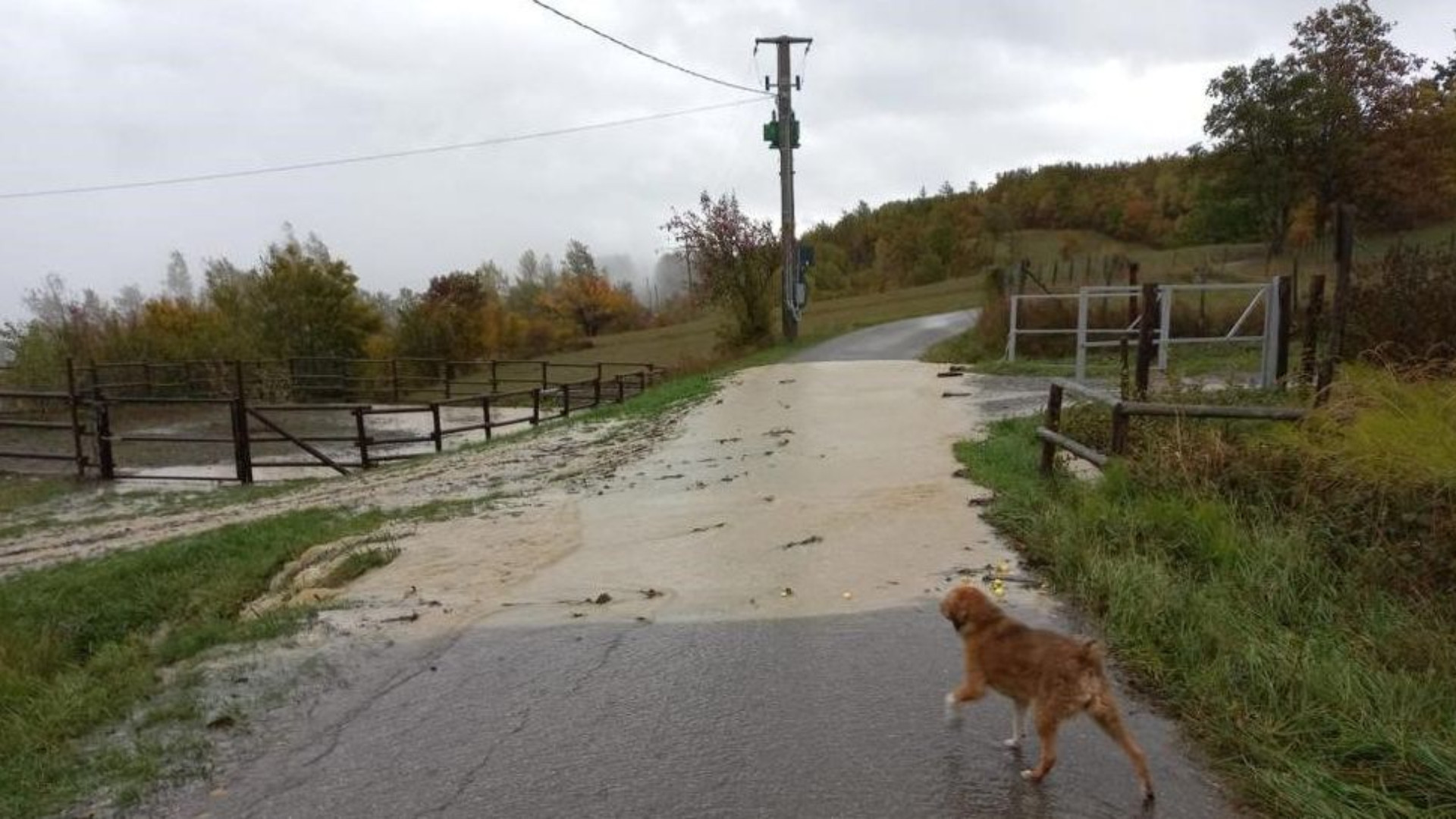 Piogge intense e rischio gelicidio, allerta meteo