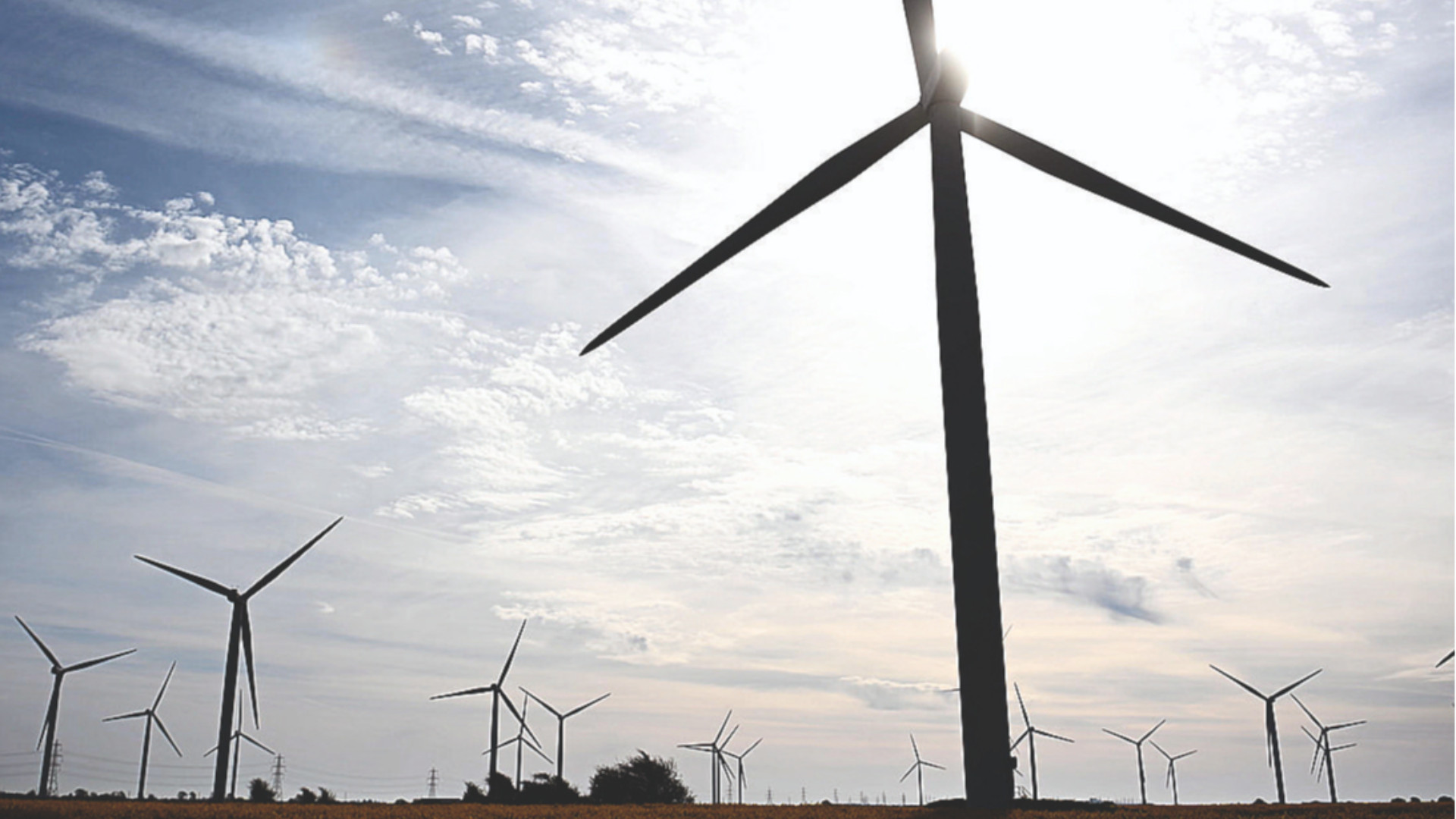 Parco eolico, il ceo dell'azienda: "Sarò all'assemblea". La sindaca: "Stia pure a casa"