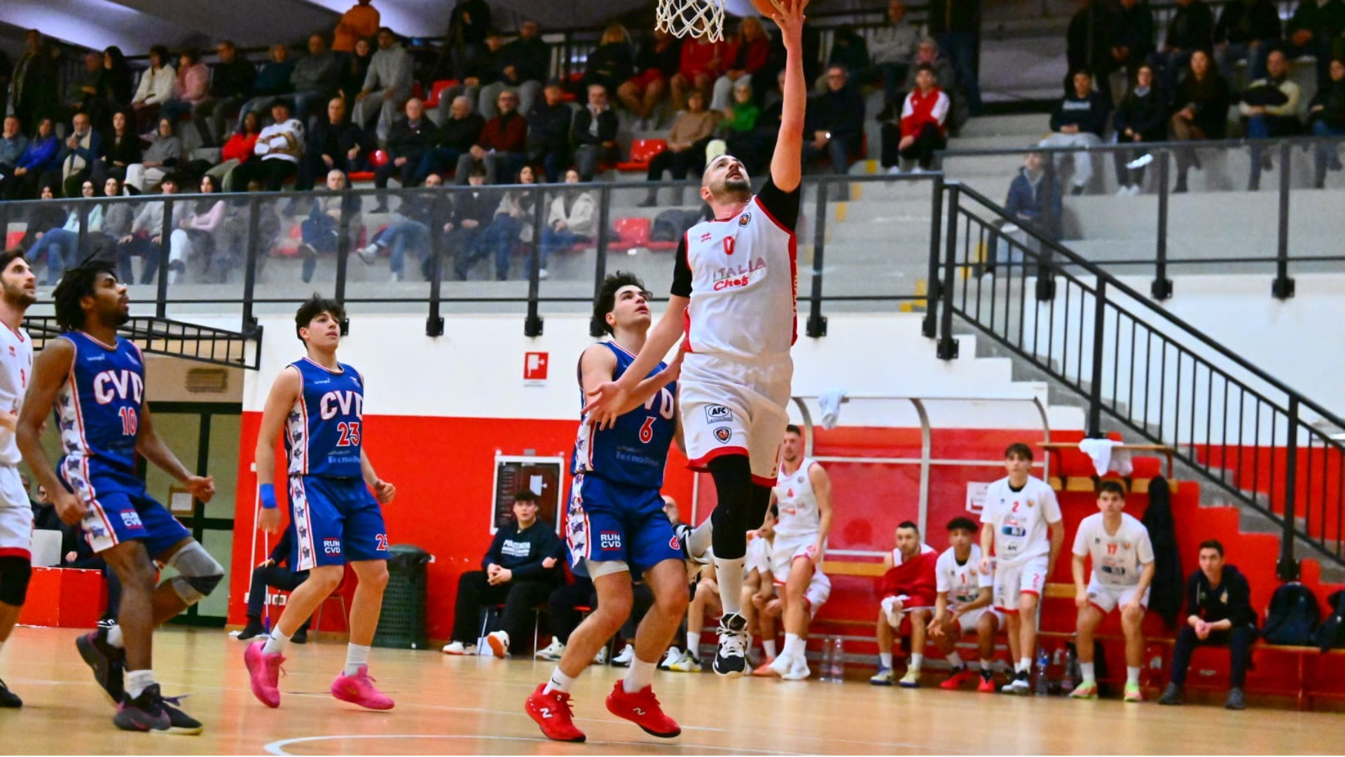 Tripla di Bassani,  la festa Piacenza Basket esplode a due secondi dalla sirena