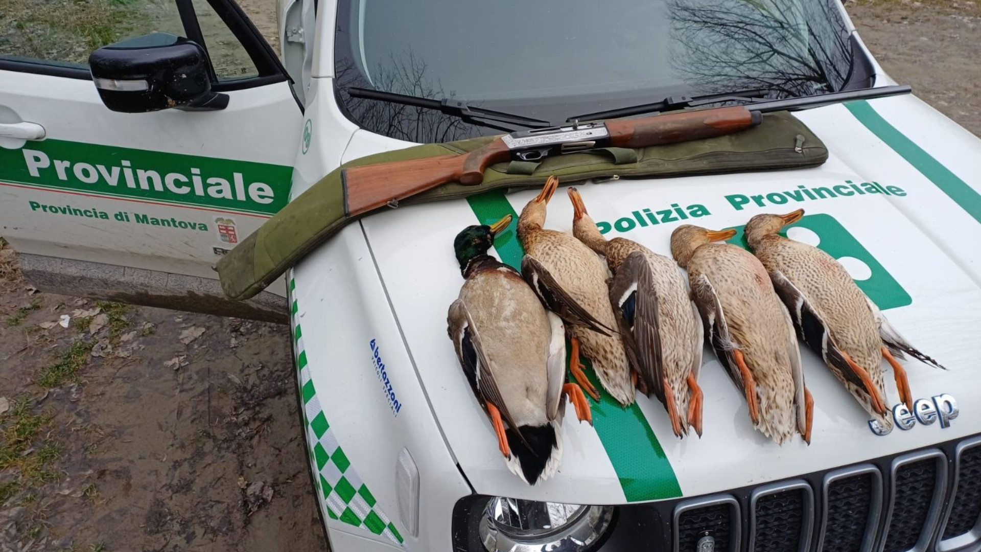 Tra Piacenza Parma e Reggio sul Po a caccia di bracconieri