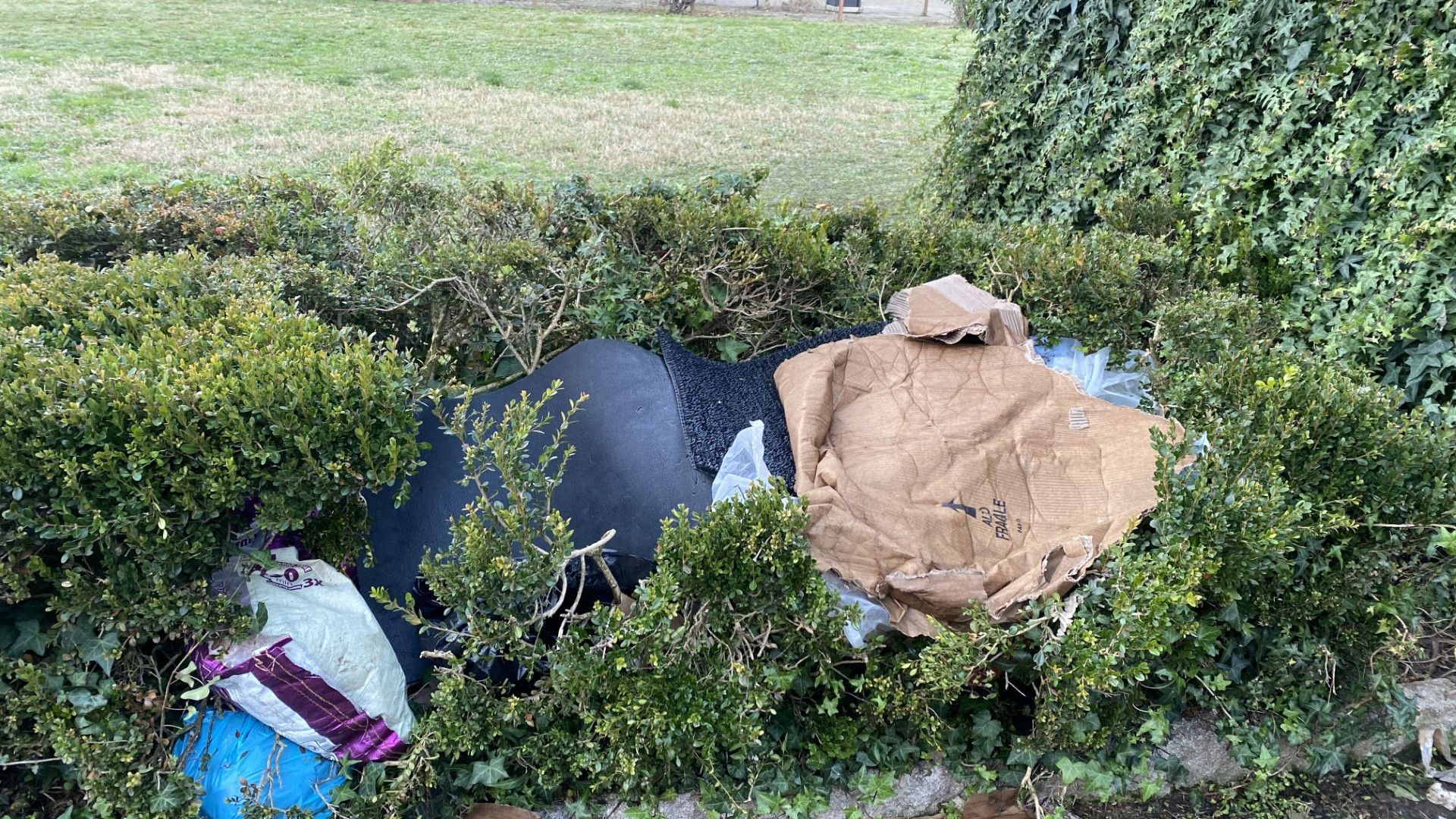 Cavallerizza, l’amaro sfogo del vicesindaco: «Senso di impotenza, non si trovano rimedi»