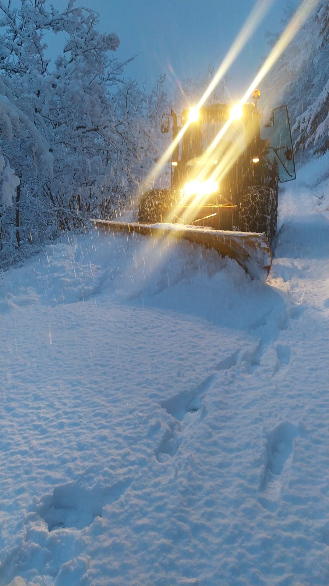 Spartineve a Cortebrugnatella