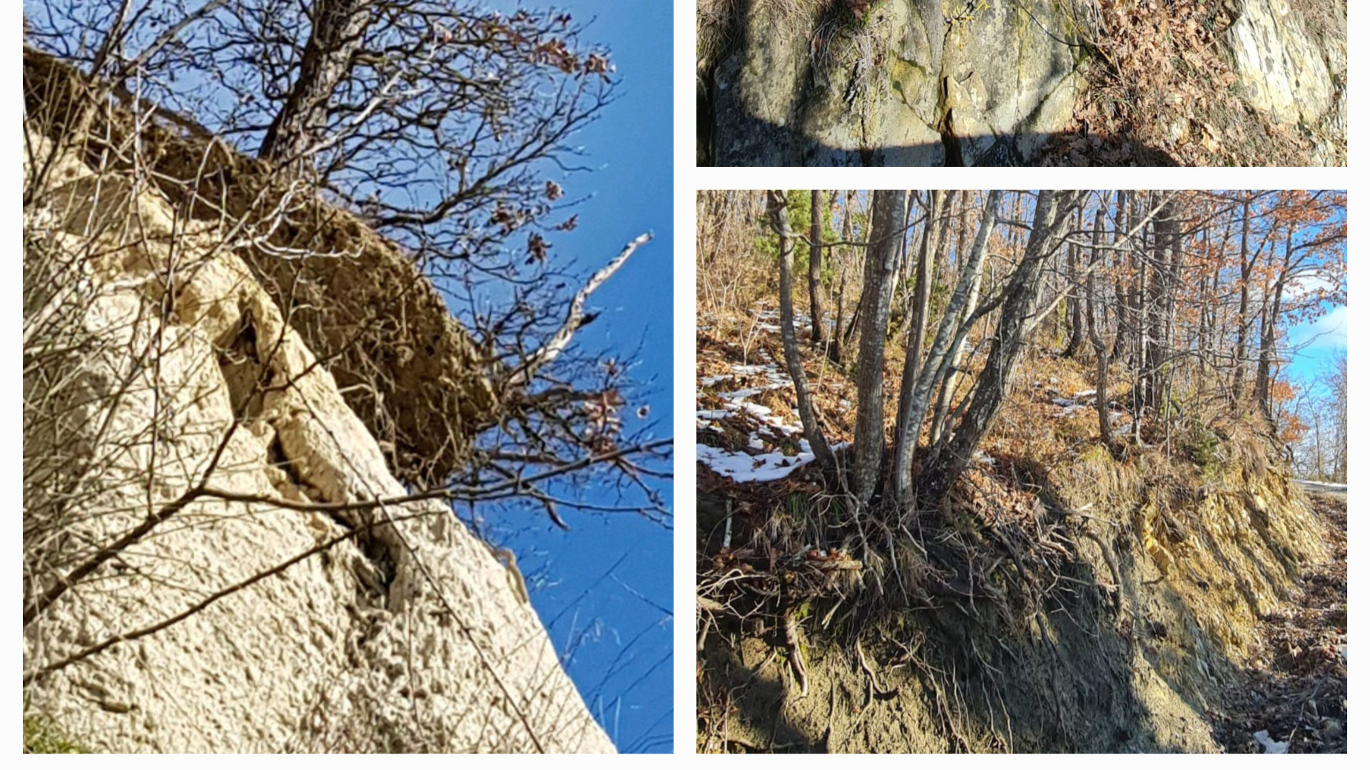 Un angolo dei calanchi della Valdarda tra arbusti spinosi e roverelle radicate (foto Dea De Angelis)