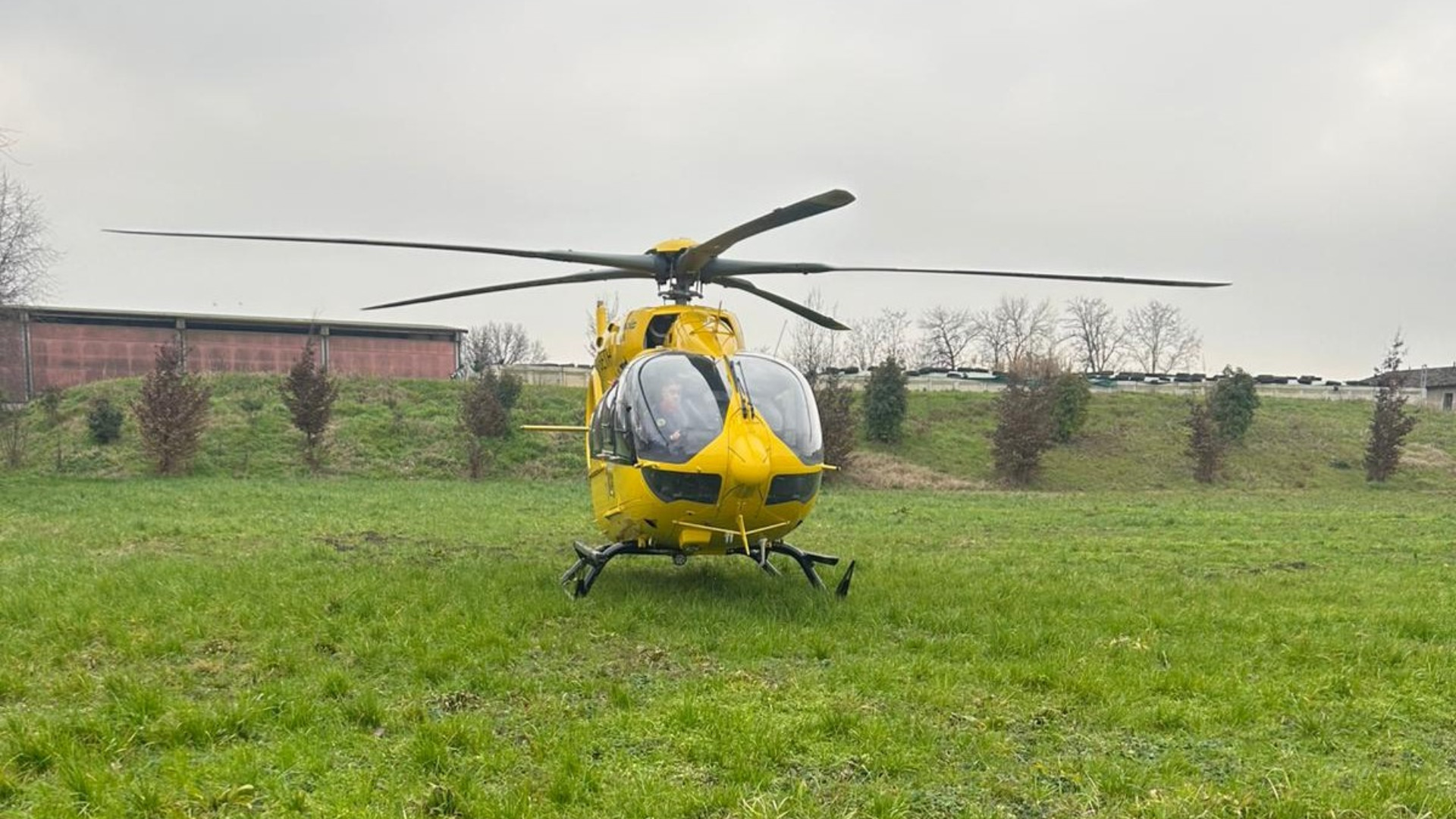 Precipita da un albero e cade su un muro dopo un volo di tre metri