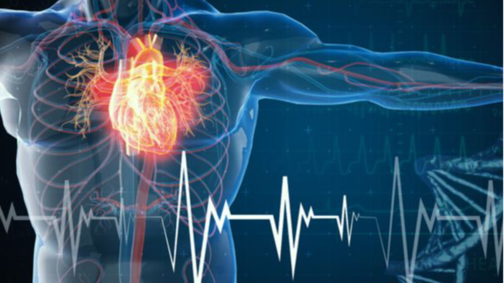 Cardiologie aperte, colloqui telefonici gratuiti con gli specialisti