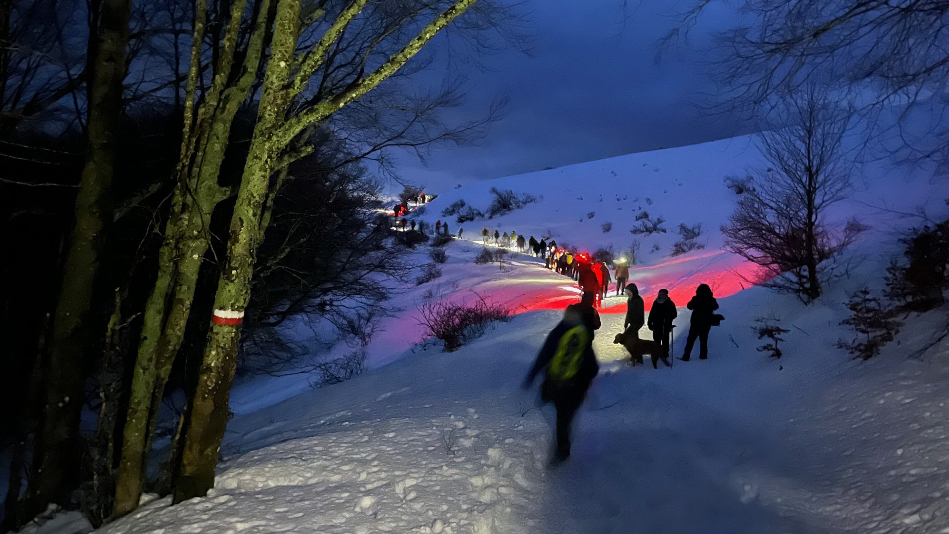 Il corteo di luci che dal rifugio Gaep è arrivato fino alla vetta del Crociglia - © Libertà/Marco Vincenti