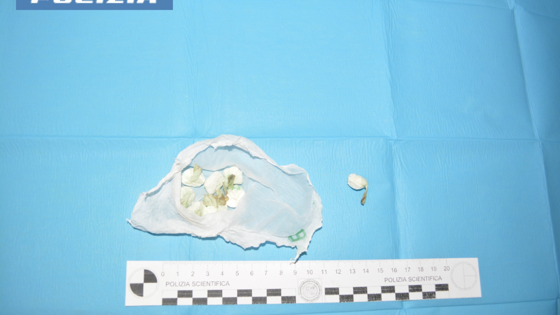 Auto a noleggio per la cocaina a domicilio, 22enne arrestato per spaccio