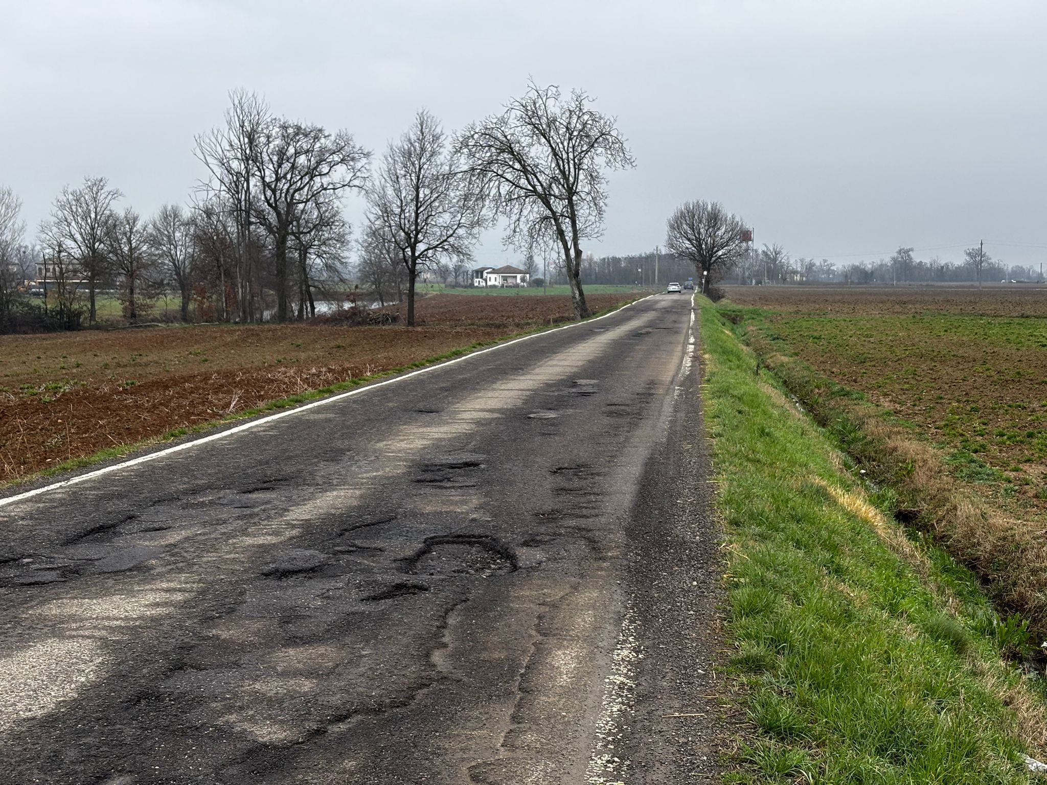 La strada comunale della Pelosa, in località Doppi di Castellarquato