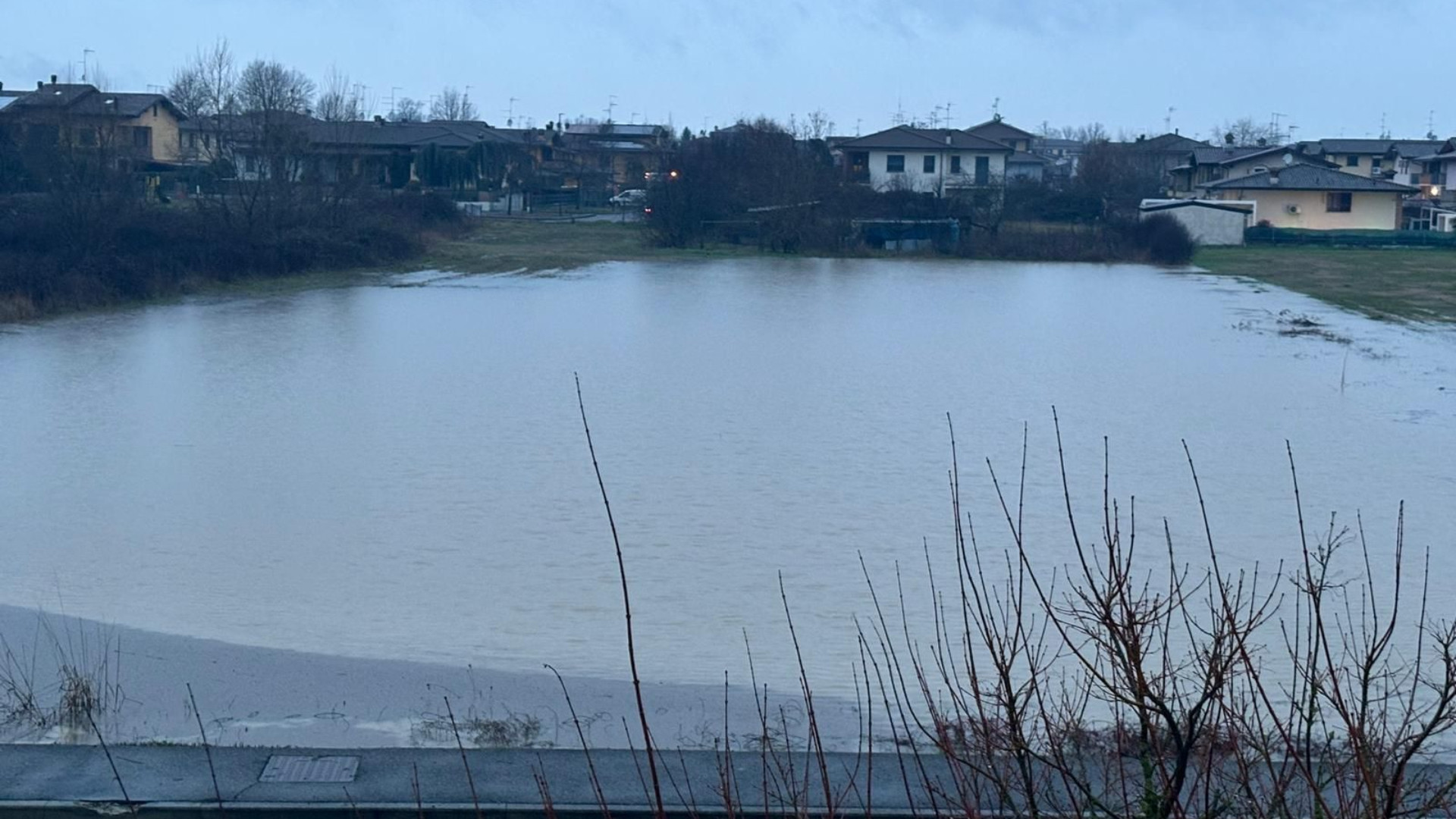 Acqua dai campi incolti: «Quando piove rane in giardino»