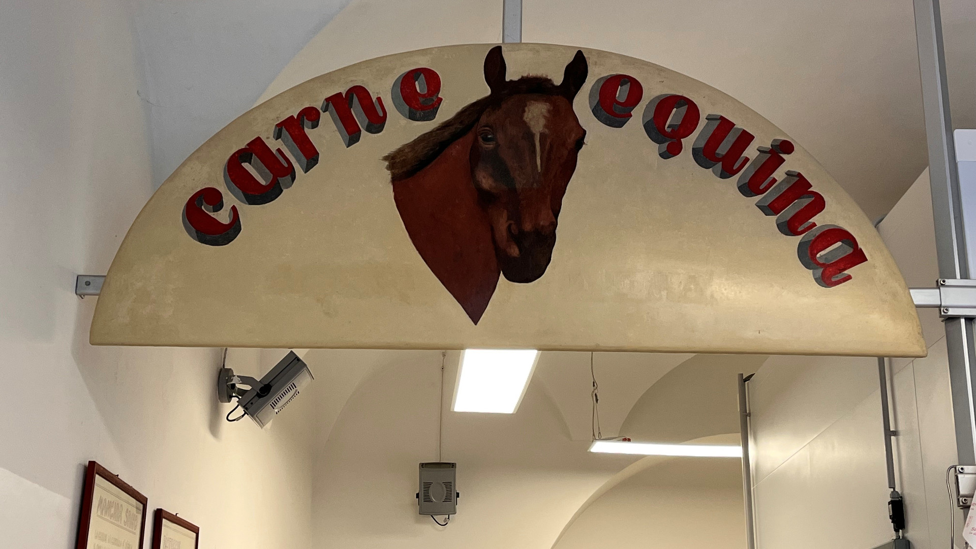 «Carne equina, no ai divieti». Associazioni sulle barricate