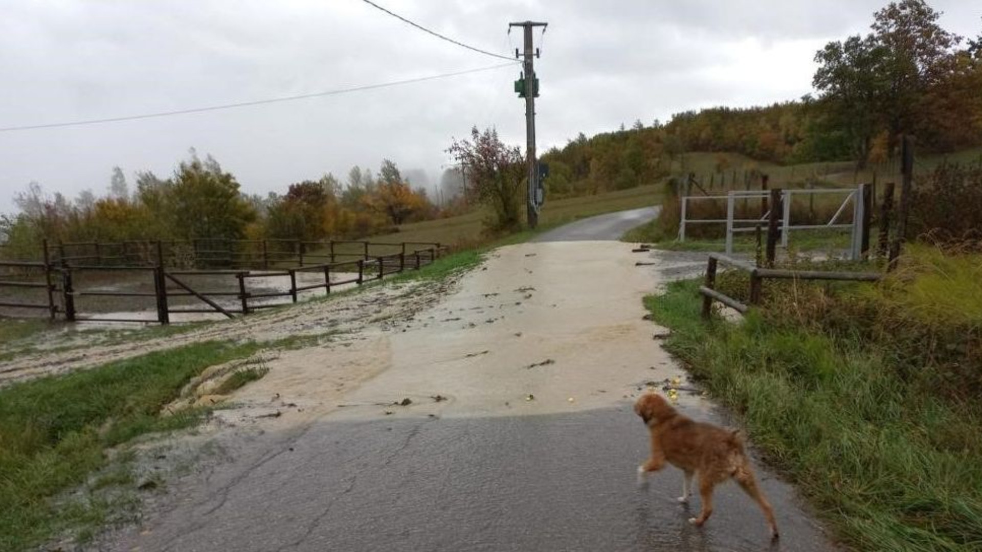 Allerta meteo, in arrivo venti e piogge intense