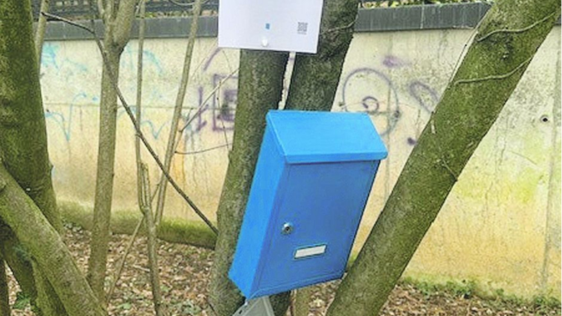 Sfoghi di solitudine agli Orti di via Degani: «Scrivete, vi ascolto»