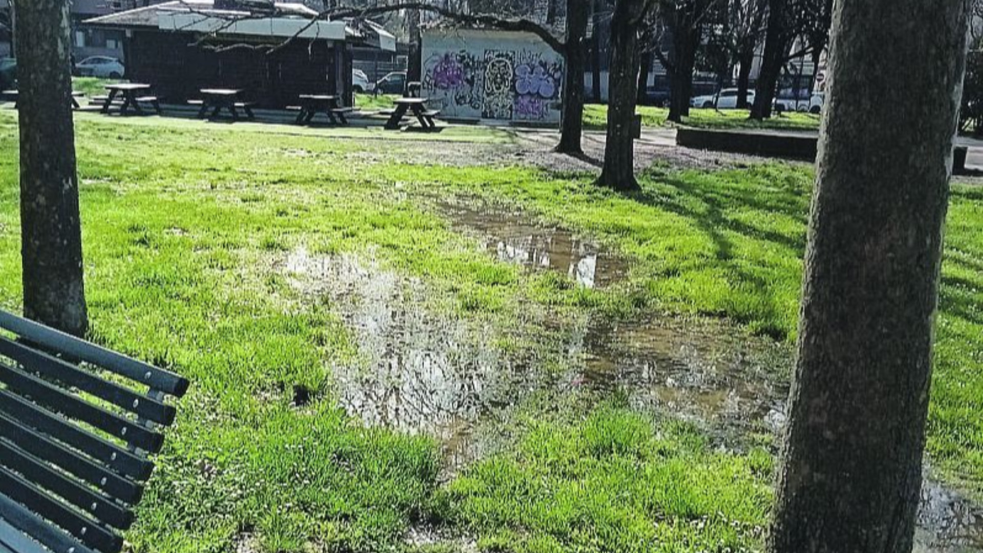 Via Emmanueli, «un'oasi verde sempre più degradata»