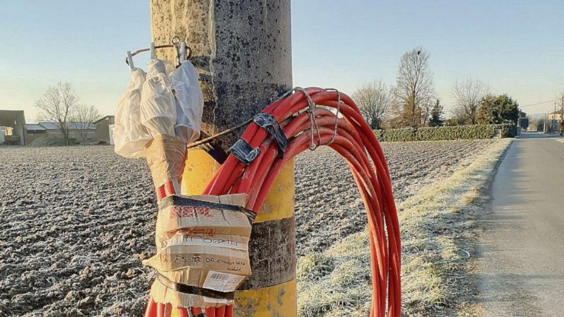 Rottofreno, il parco "ortovoltaico" dà i primi frutti: 890mila euro