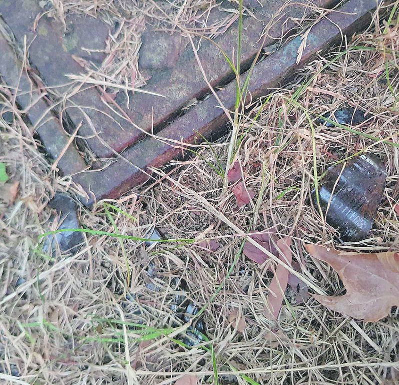 I giardini Giana Anguissola di via Emmanueli - foto Marcello Tassi