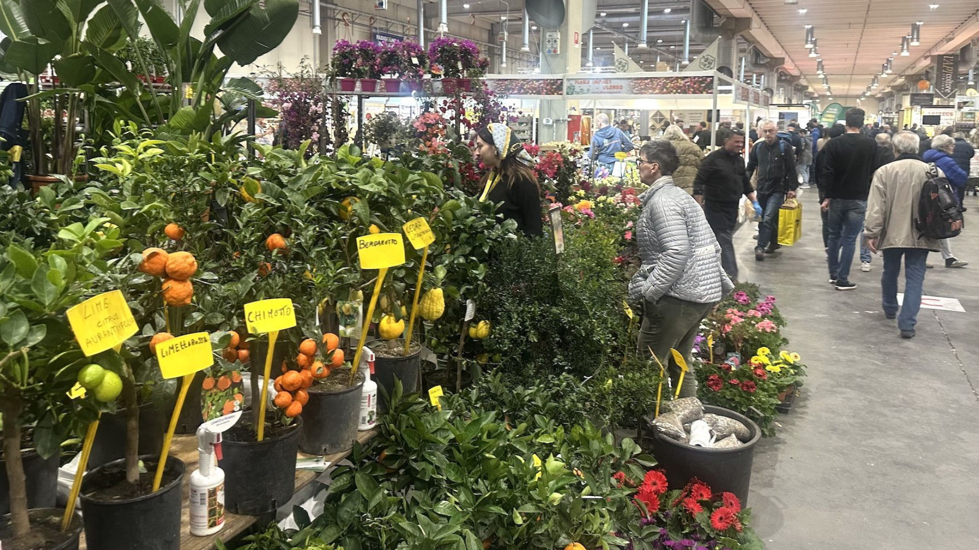 Al via la tre giorni del Seminat, a Pc Expo fiera per tutti i gusti