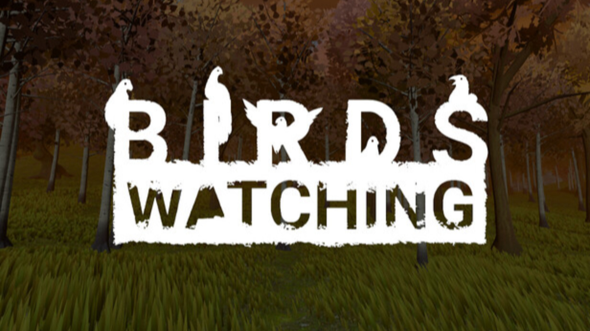 “Birds Watching”: l’ultimo umano al mondo sulla cima del Gran Toc