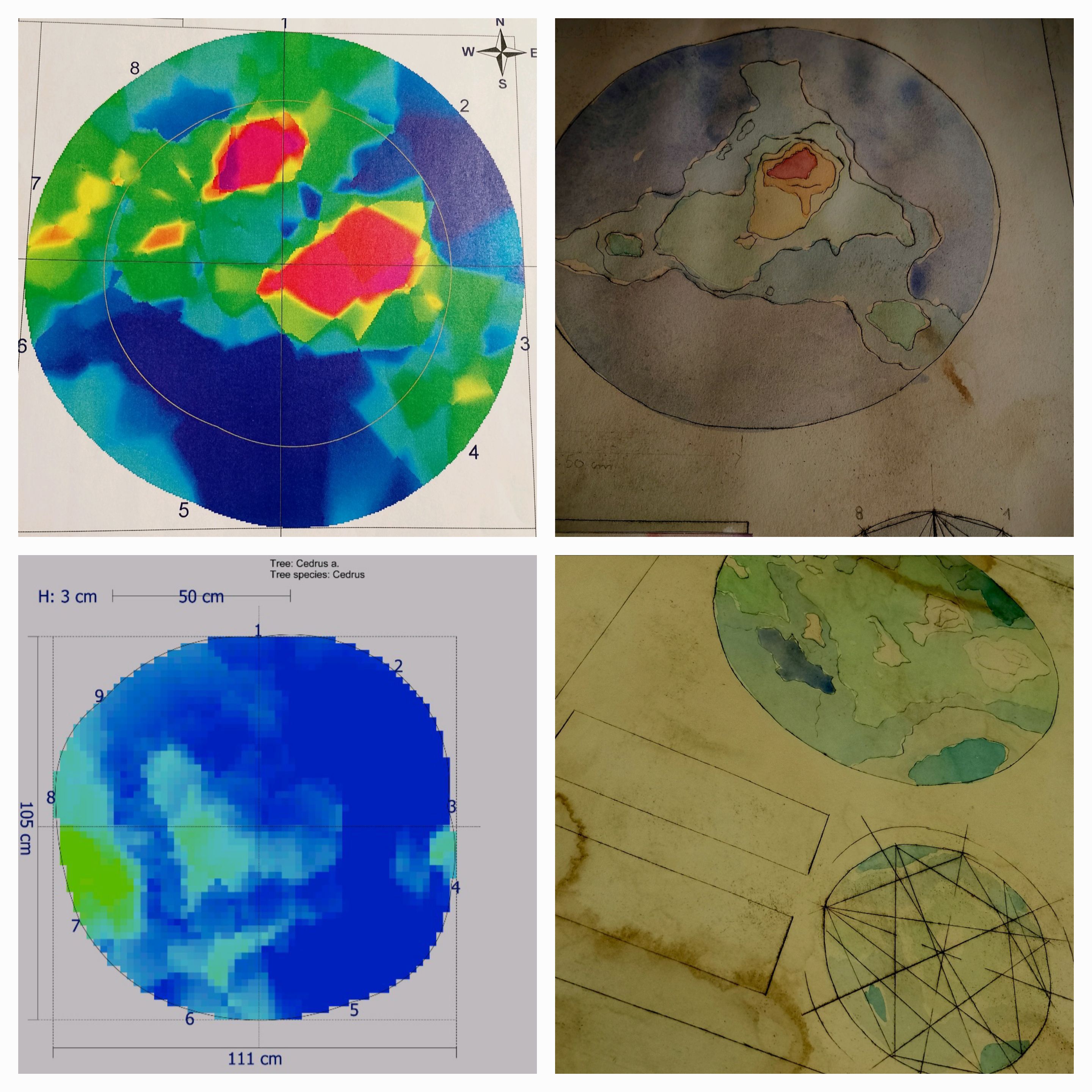 A lato, due esempi di tomografie (analisi di stabilità degli alberi) di Massimo Turci e le mappe di mondi ideate