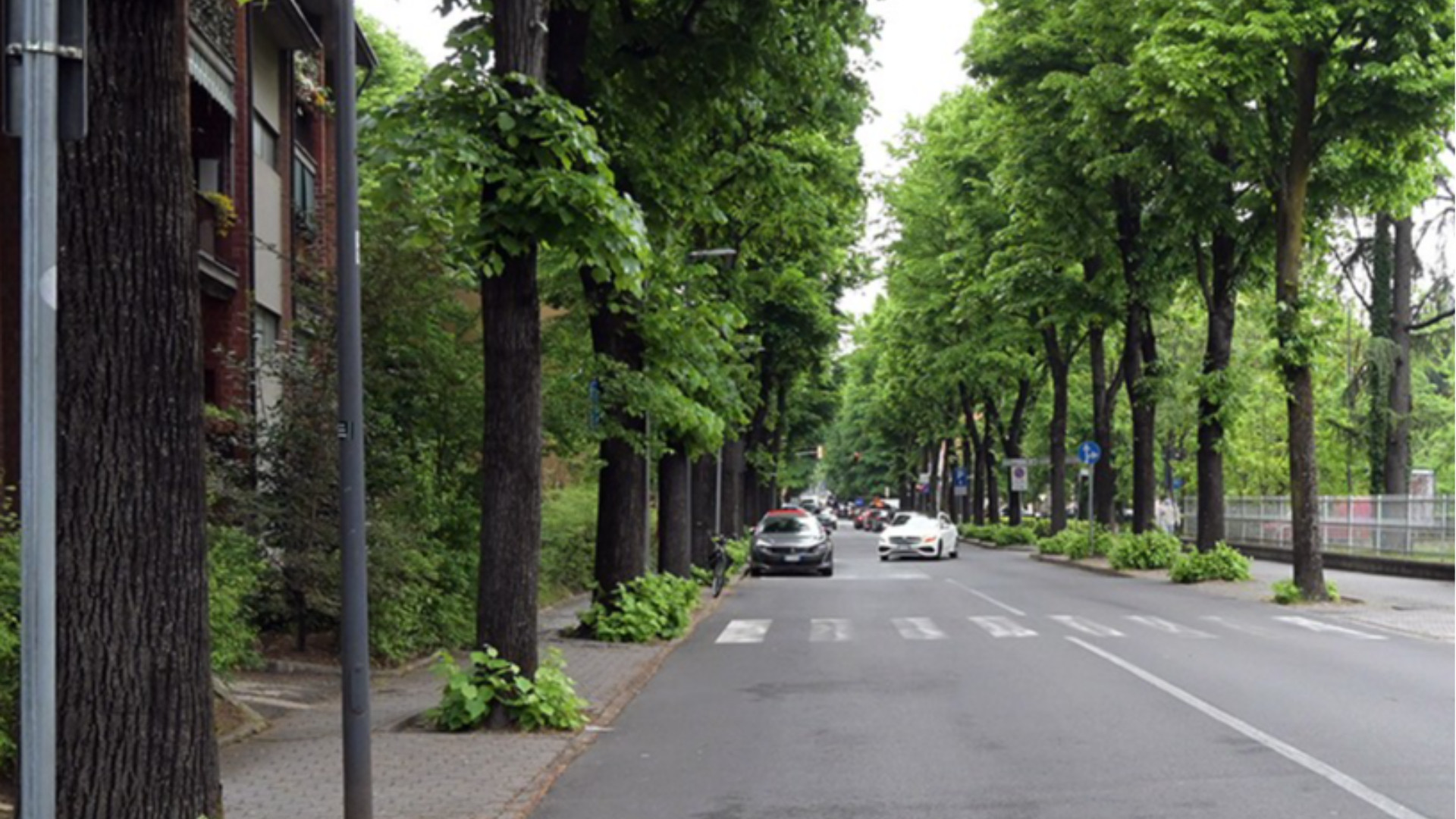 Via Damiani in una immagine d'archivio - © Libertà