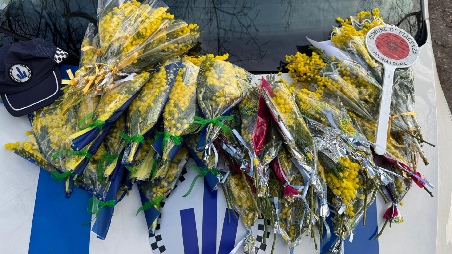 Commercio abusivo, sequestrati 70 mazzi di mimose