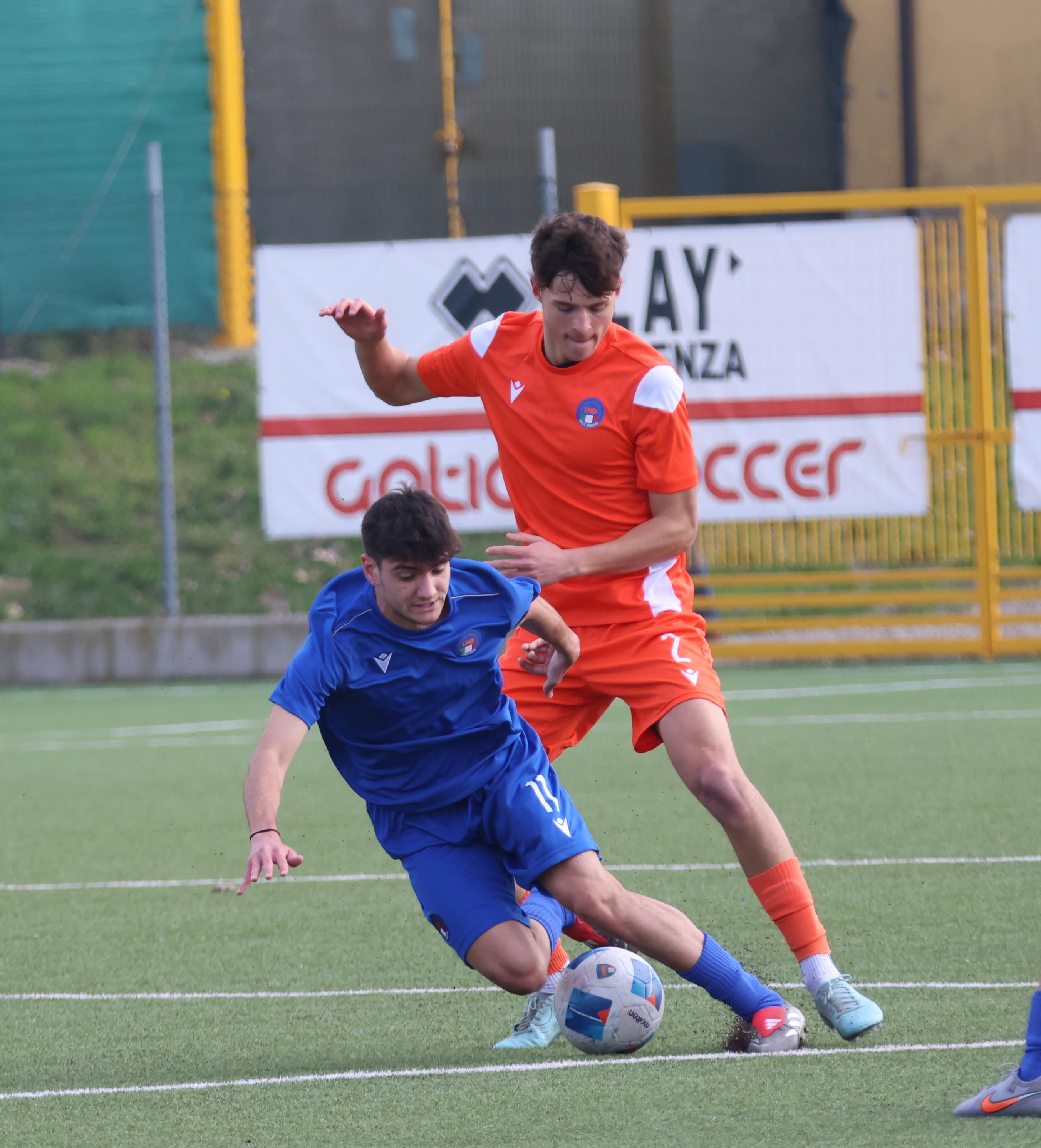 RAPPRESENTATIVA ( FOTO CAVALLI )