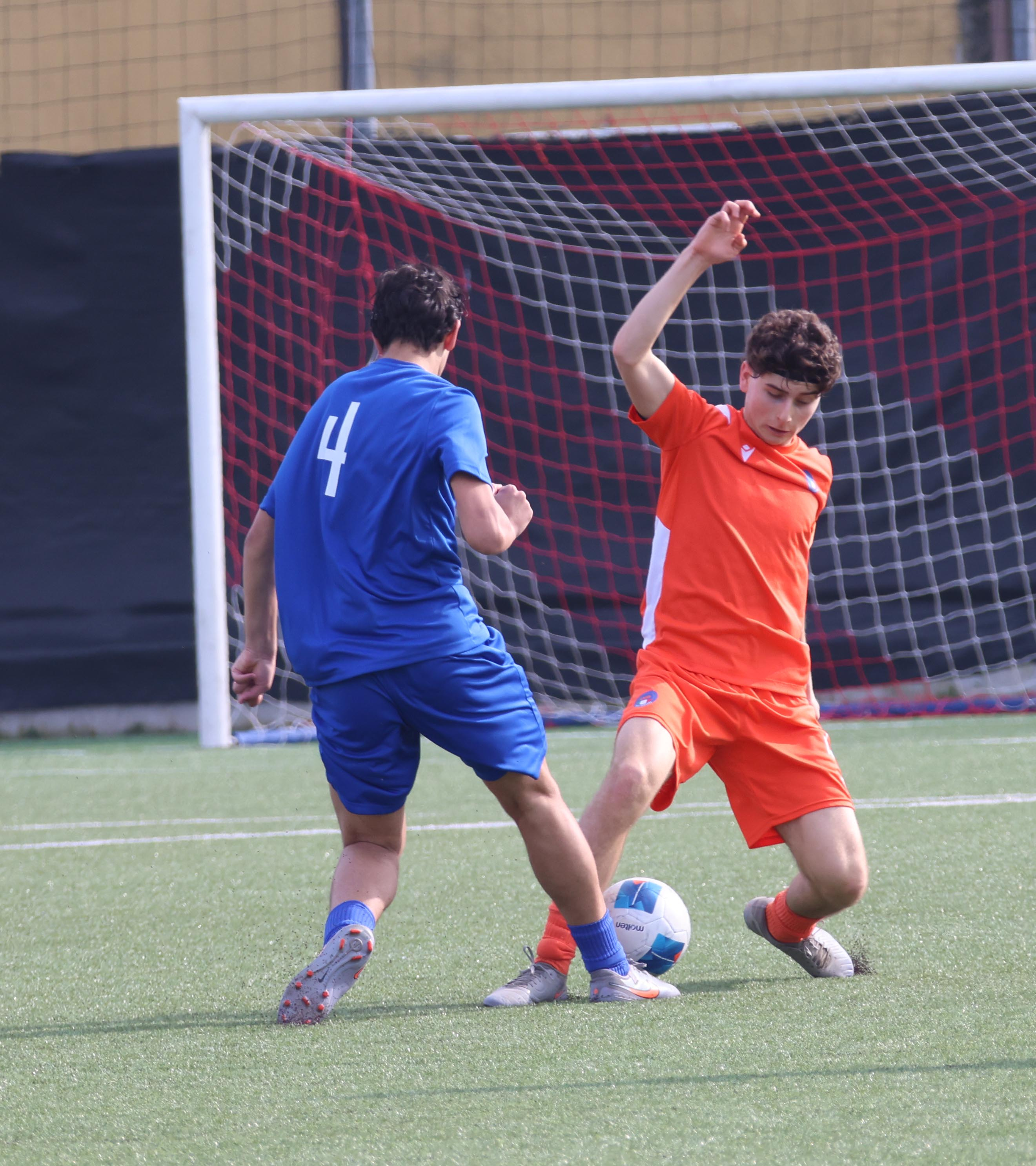 RAPPRESENTATIVA ( FOTO CAVALLI )