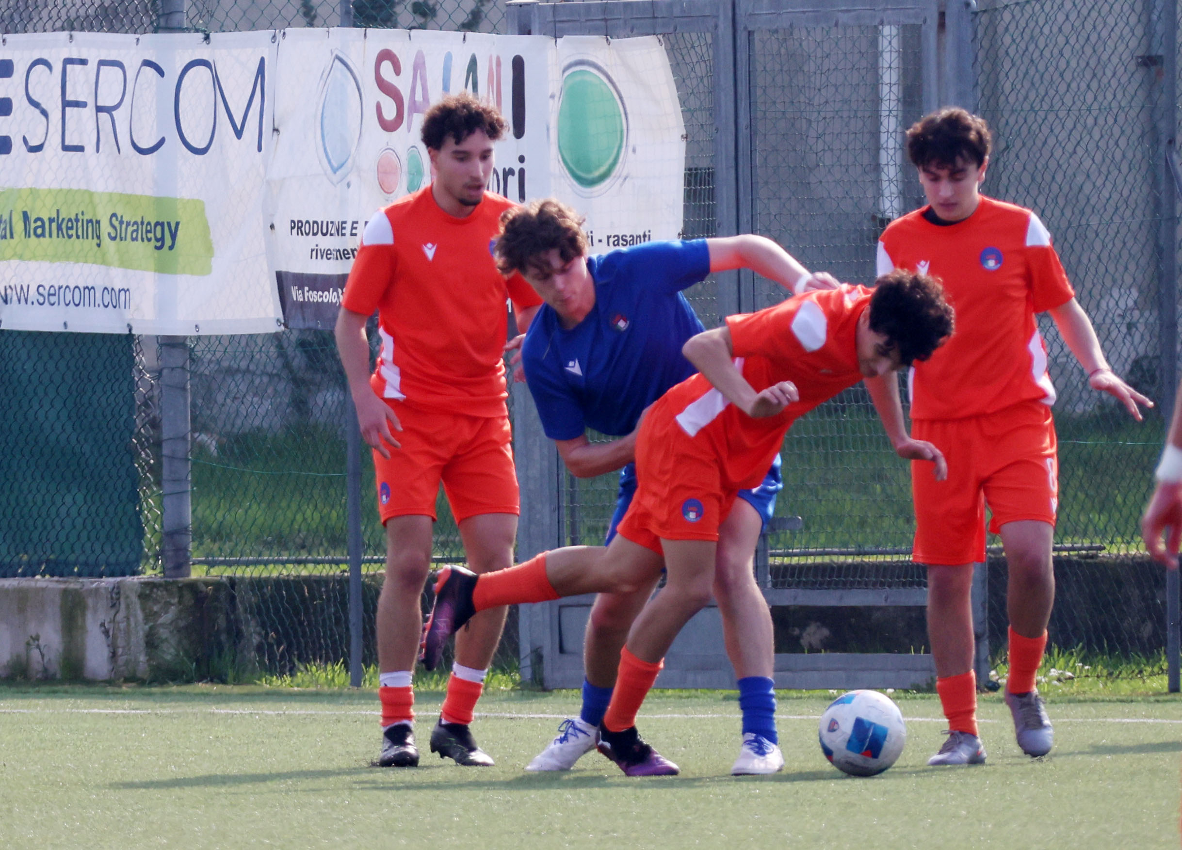 RAPPRESENTATIVA ( FOTO CAVALLI )