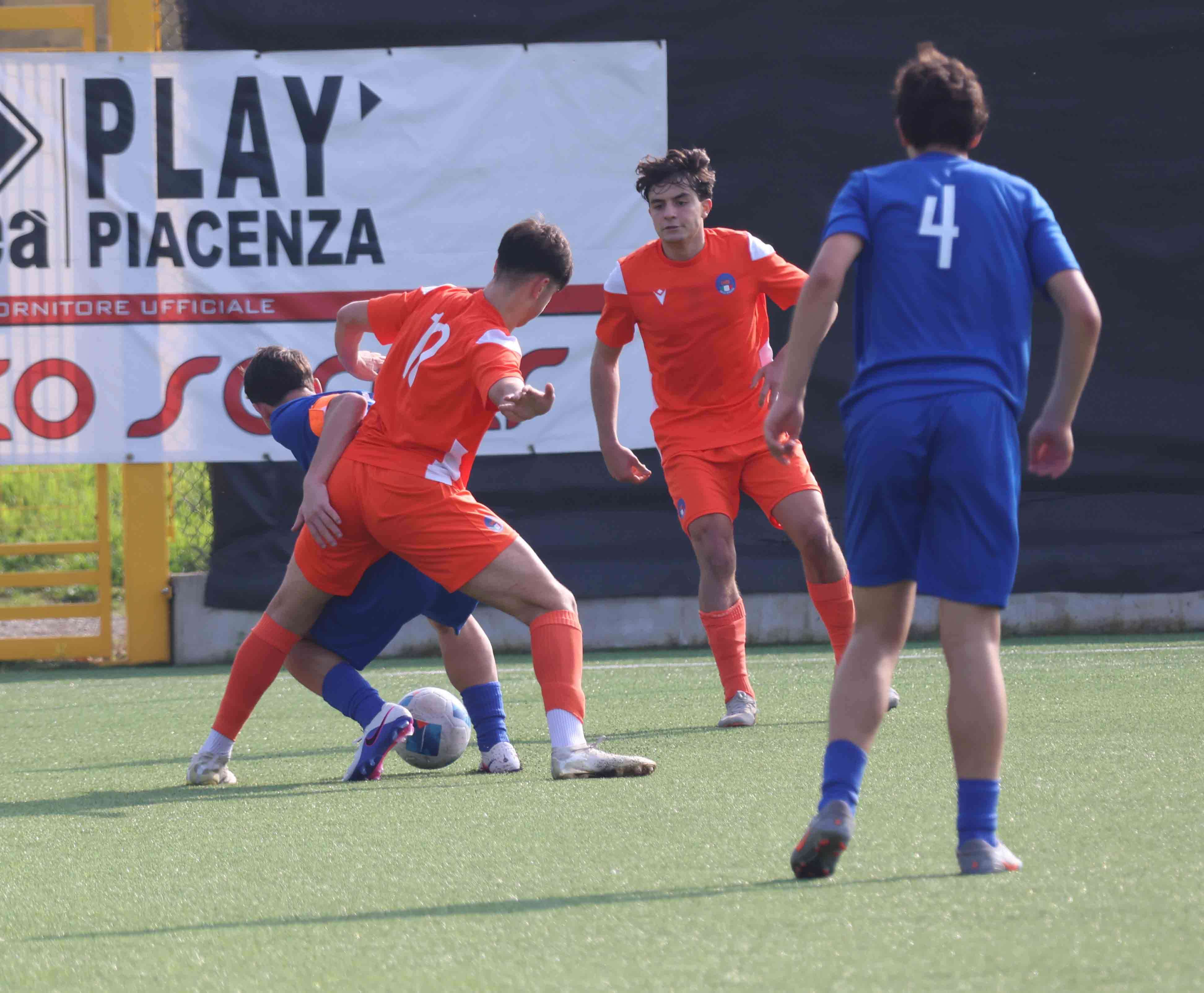 RAPPRESENTATIVA ( FOTO CAVALLI )