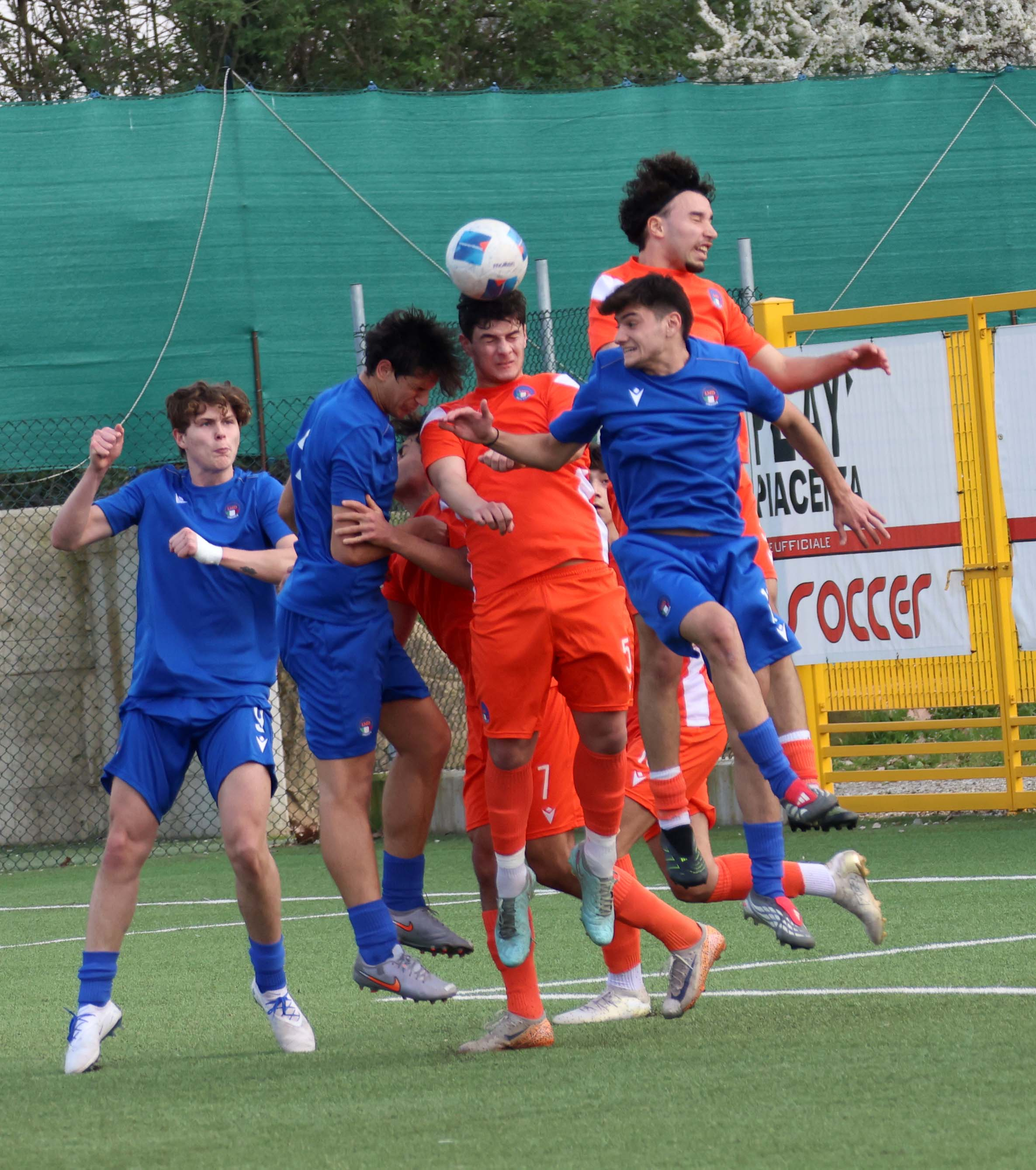 RAPPRESENTATIVA ( FOTO CAVALLI )