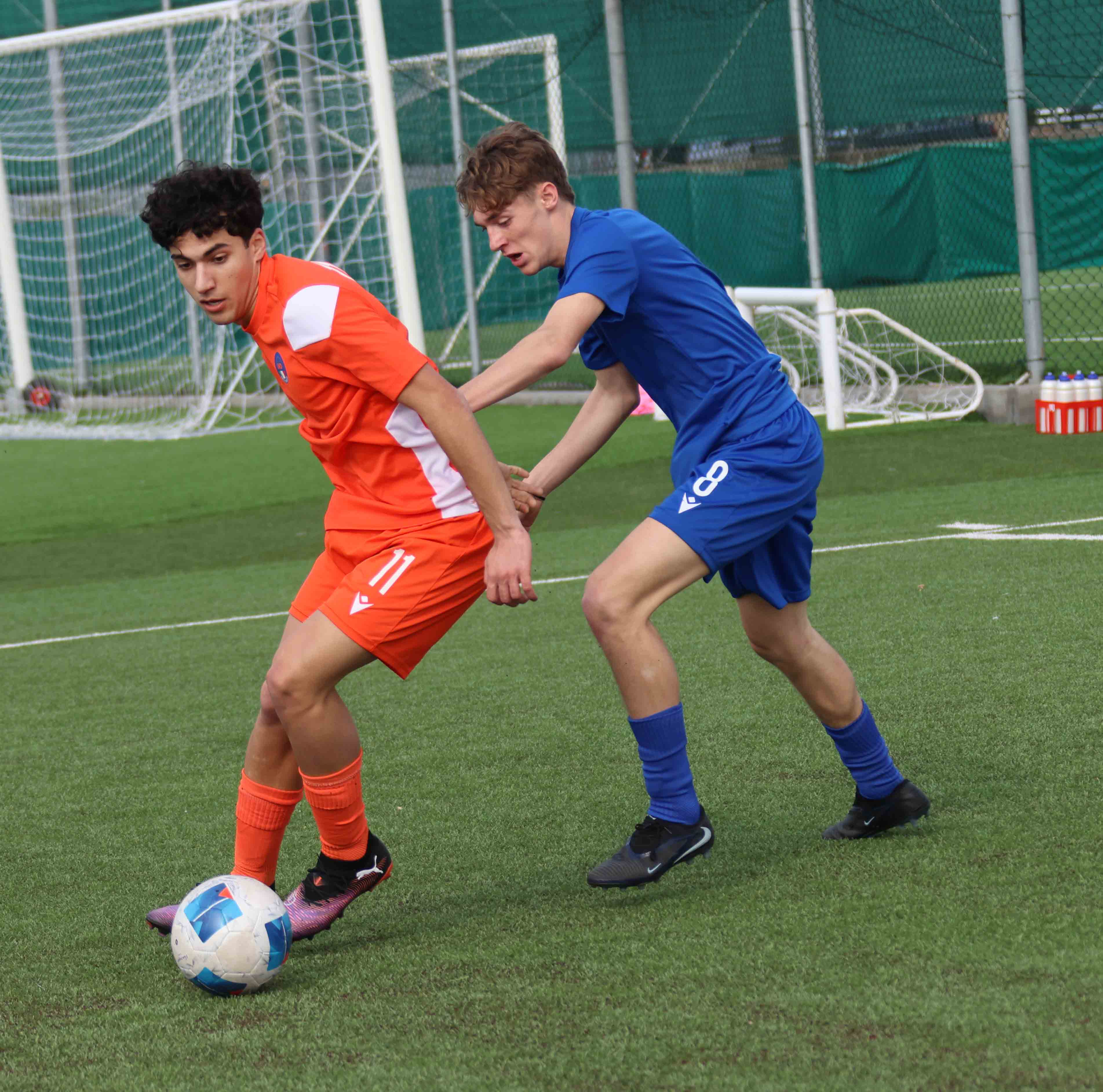 RAPPRESENTATIVA ( FOTO CAVALLI ) DE SIMONE