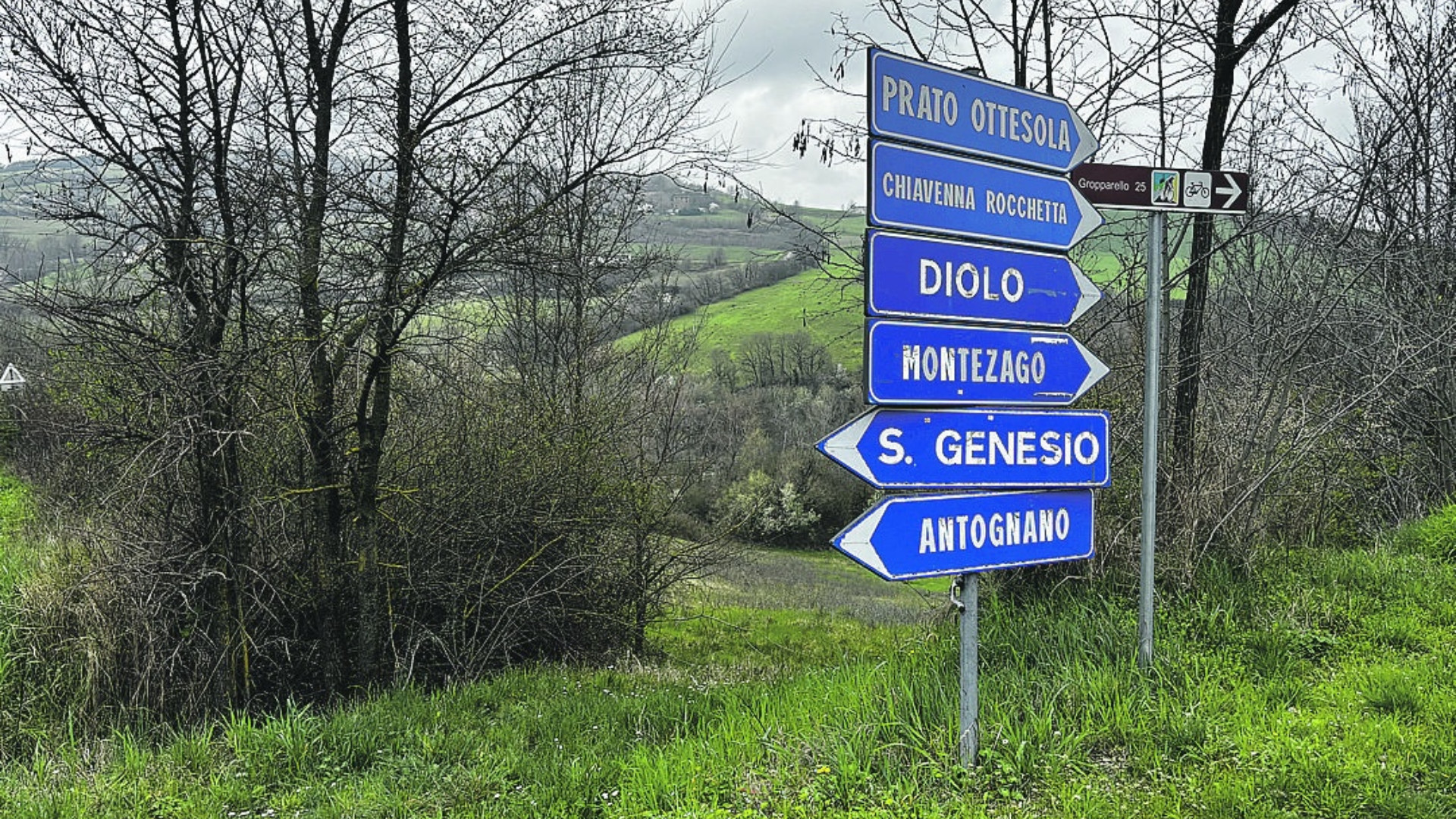 Allarme cavallette, Lugagnano si prepara