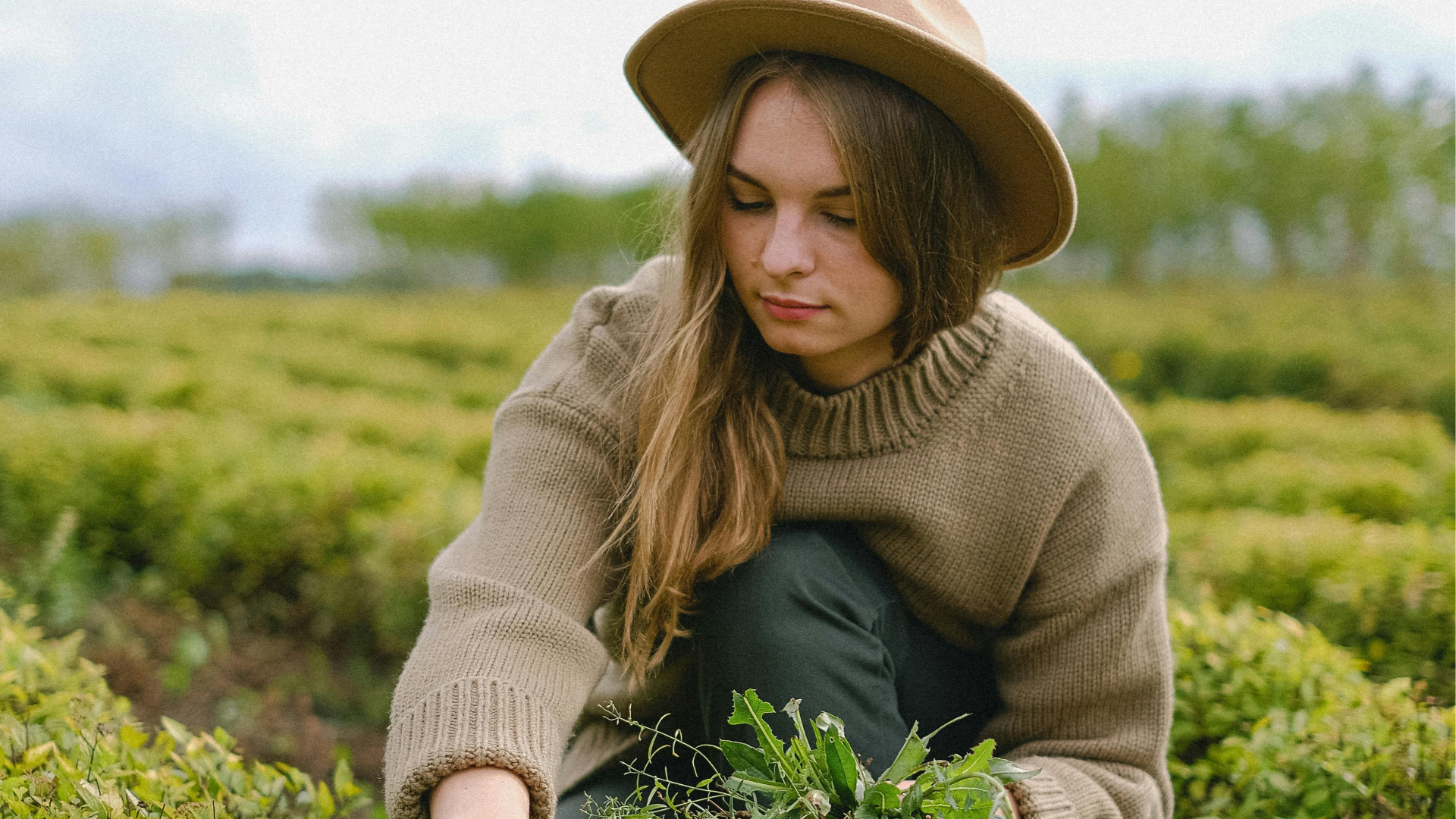 Nasce la nuova piattaforma per donne in agricoltura