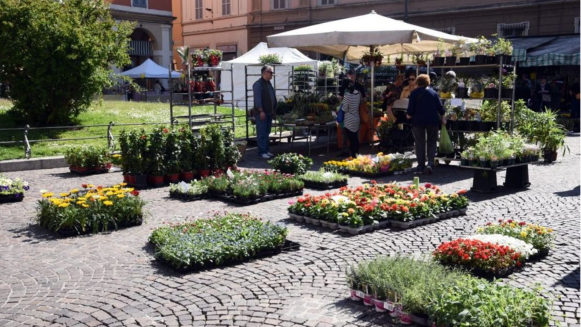Una precedente edizione di Piacenza in fiore
