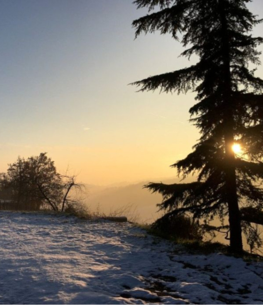 Allerta meteo, venti forti in arrivo. Neve sopra i 700 metri
